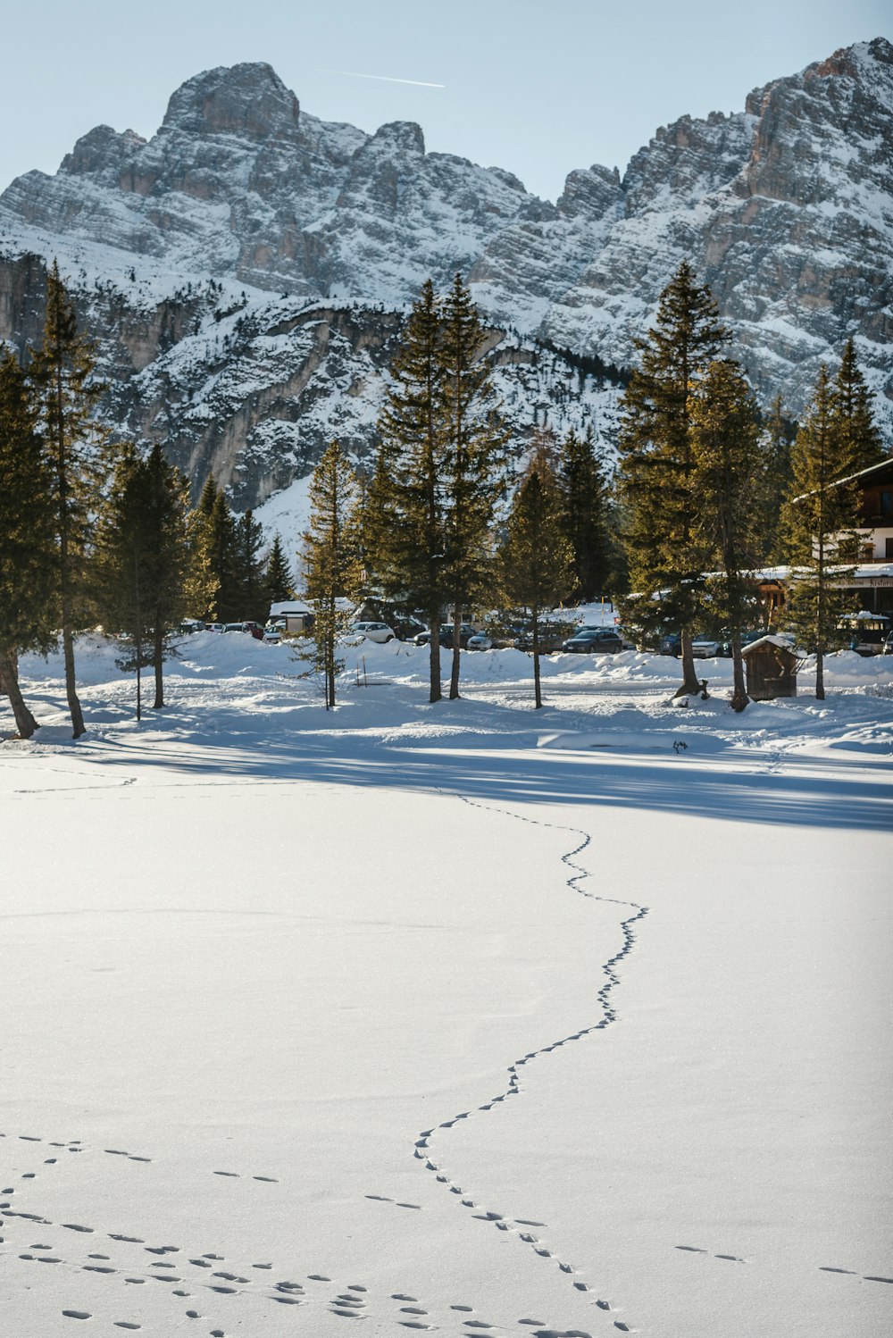 a person riding skis on a snowy surface