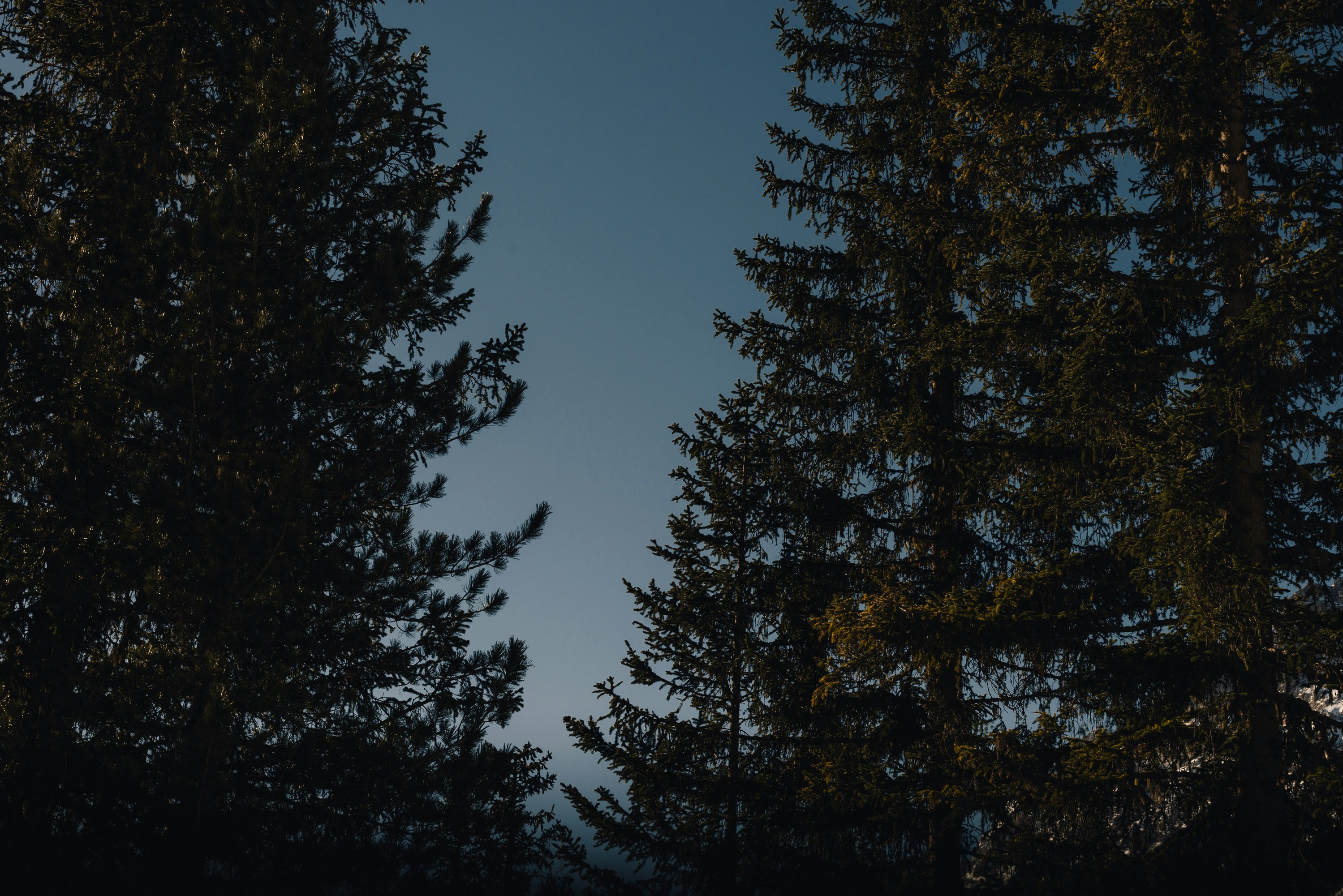 Photo by lennyphotographic