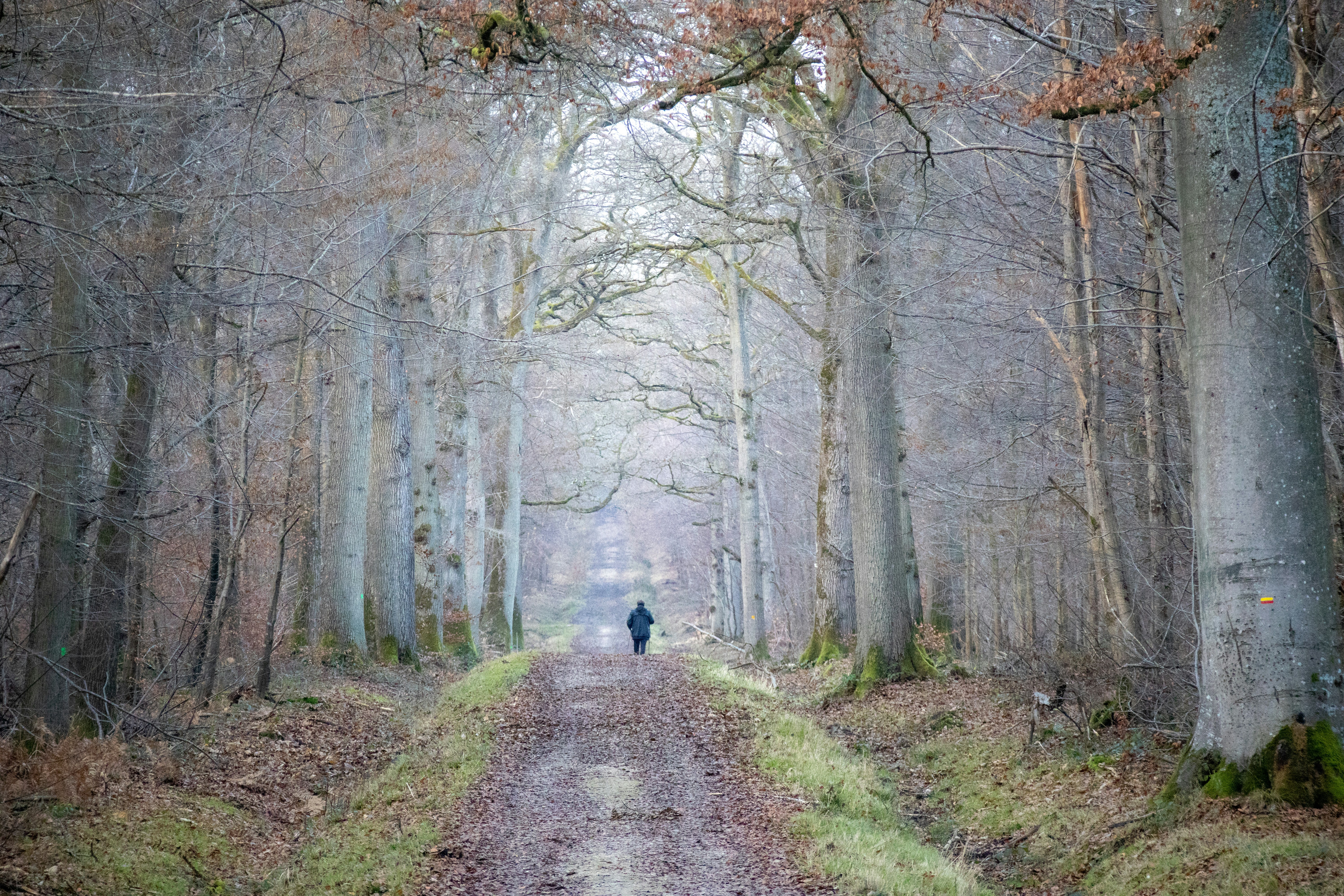 Photo by amandine_bataille_photo