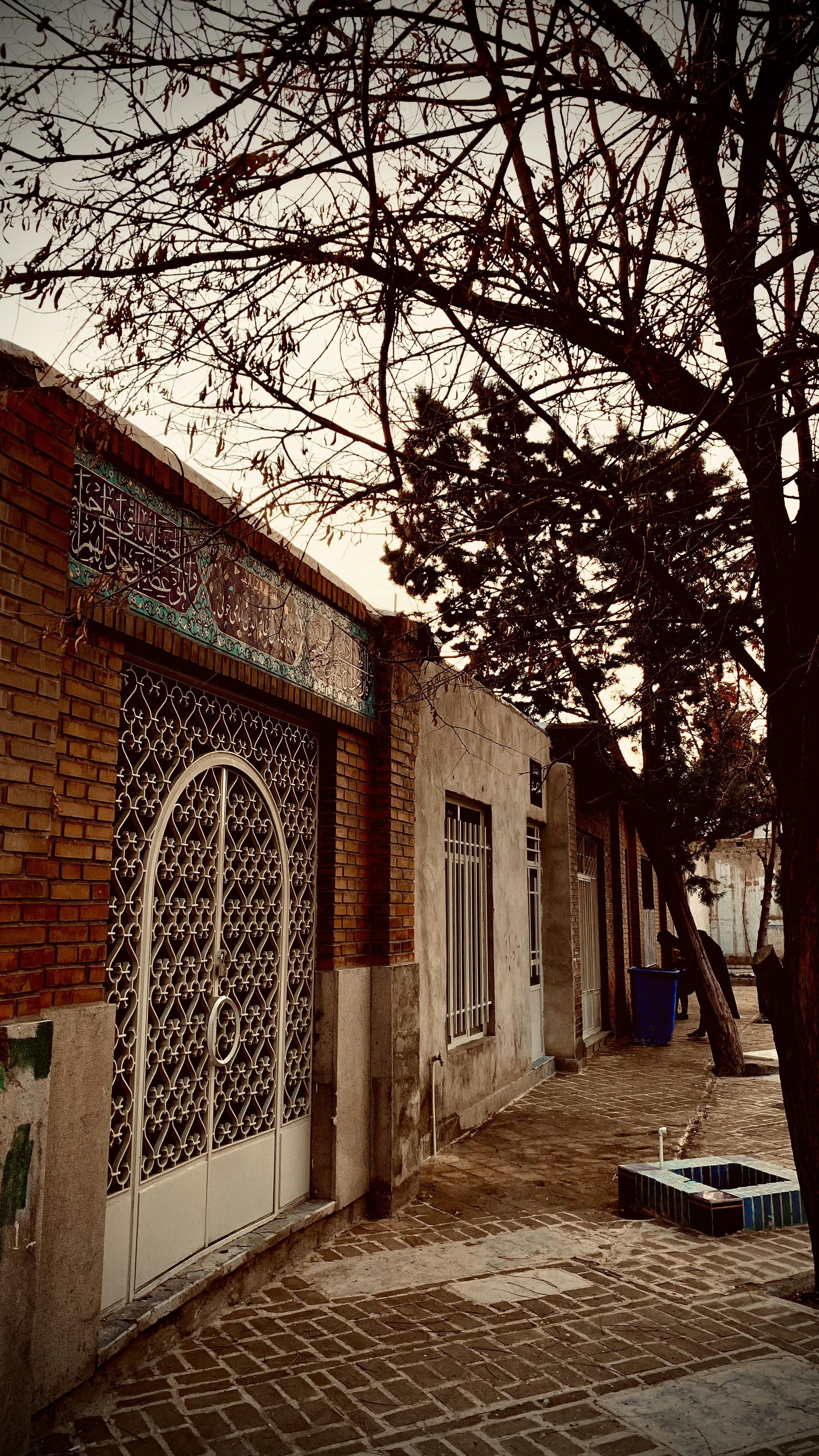 a building with a tree in front of it