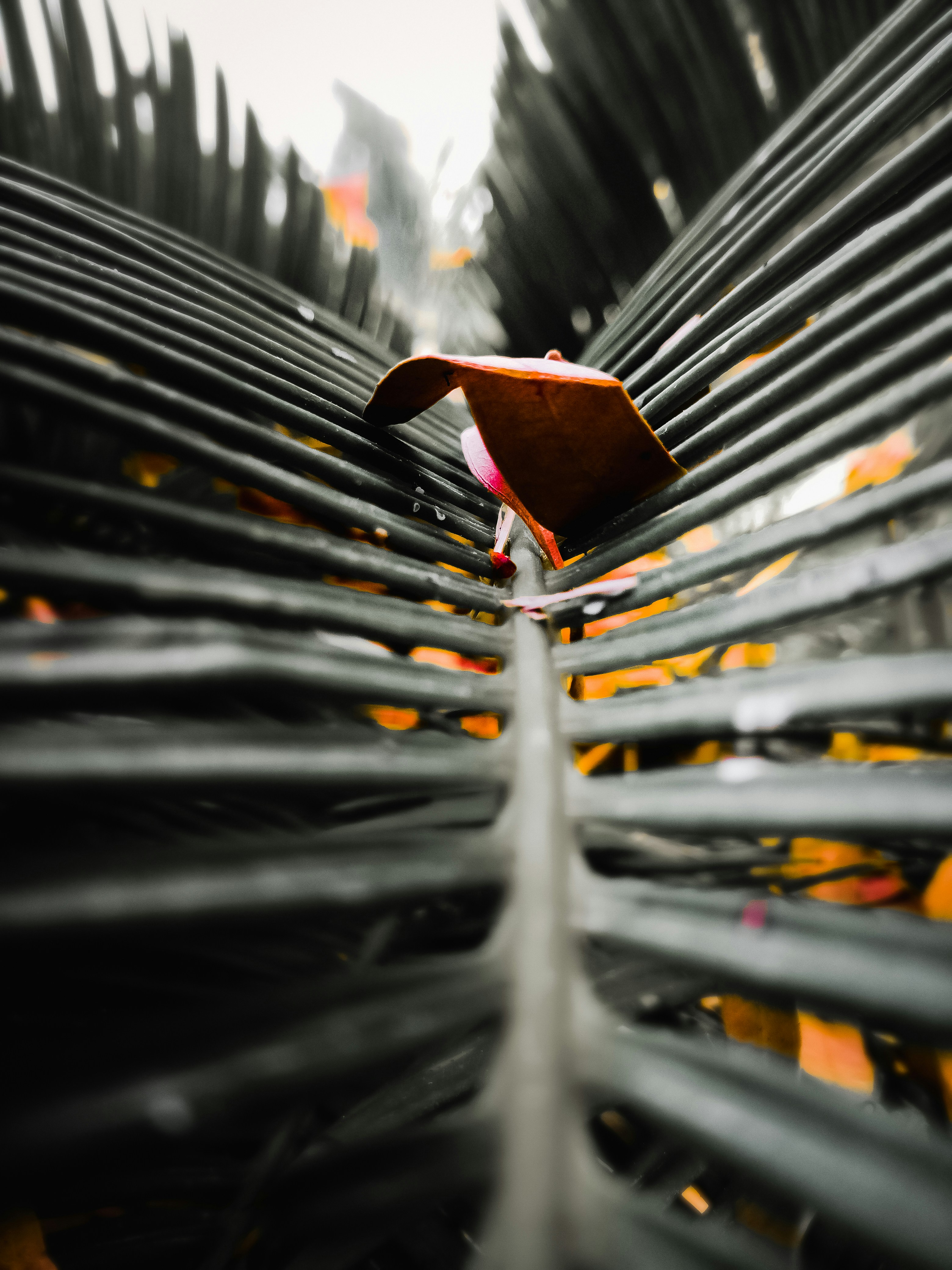 Mastering the Craft: Tips for Aspiring Fashion Photographers to Capture the Perfect Shot