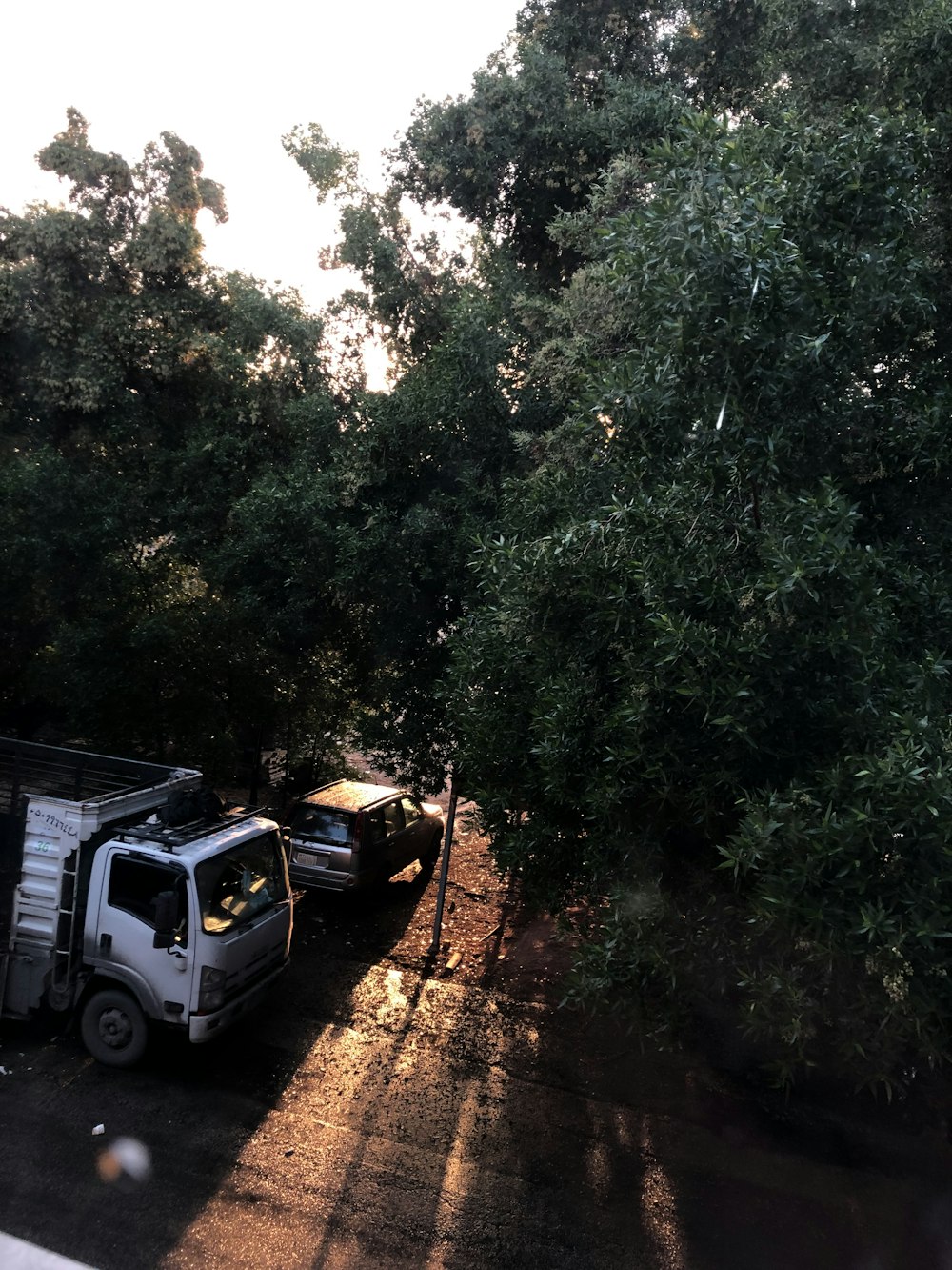 a white truck parked next to a forest filled with trees