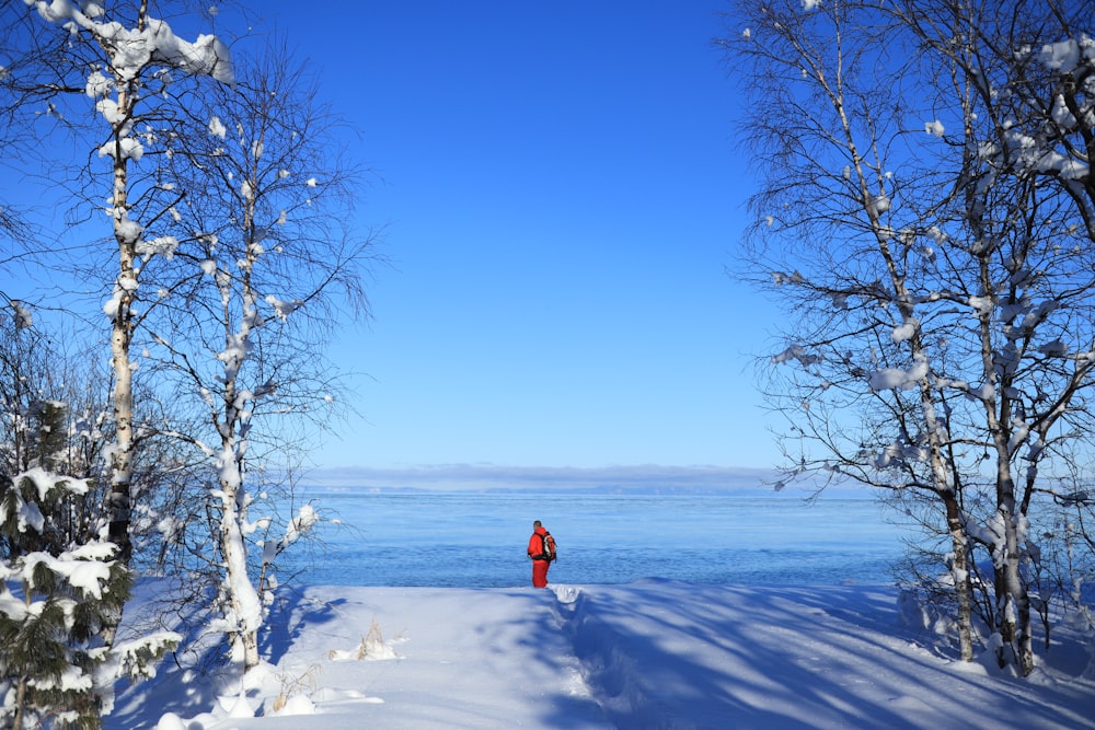 a red fire hydrant sitting in the middle of a snow covered forest