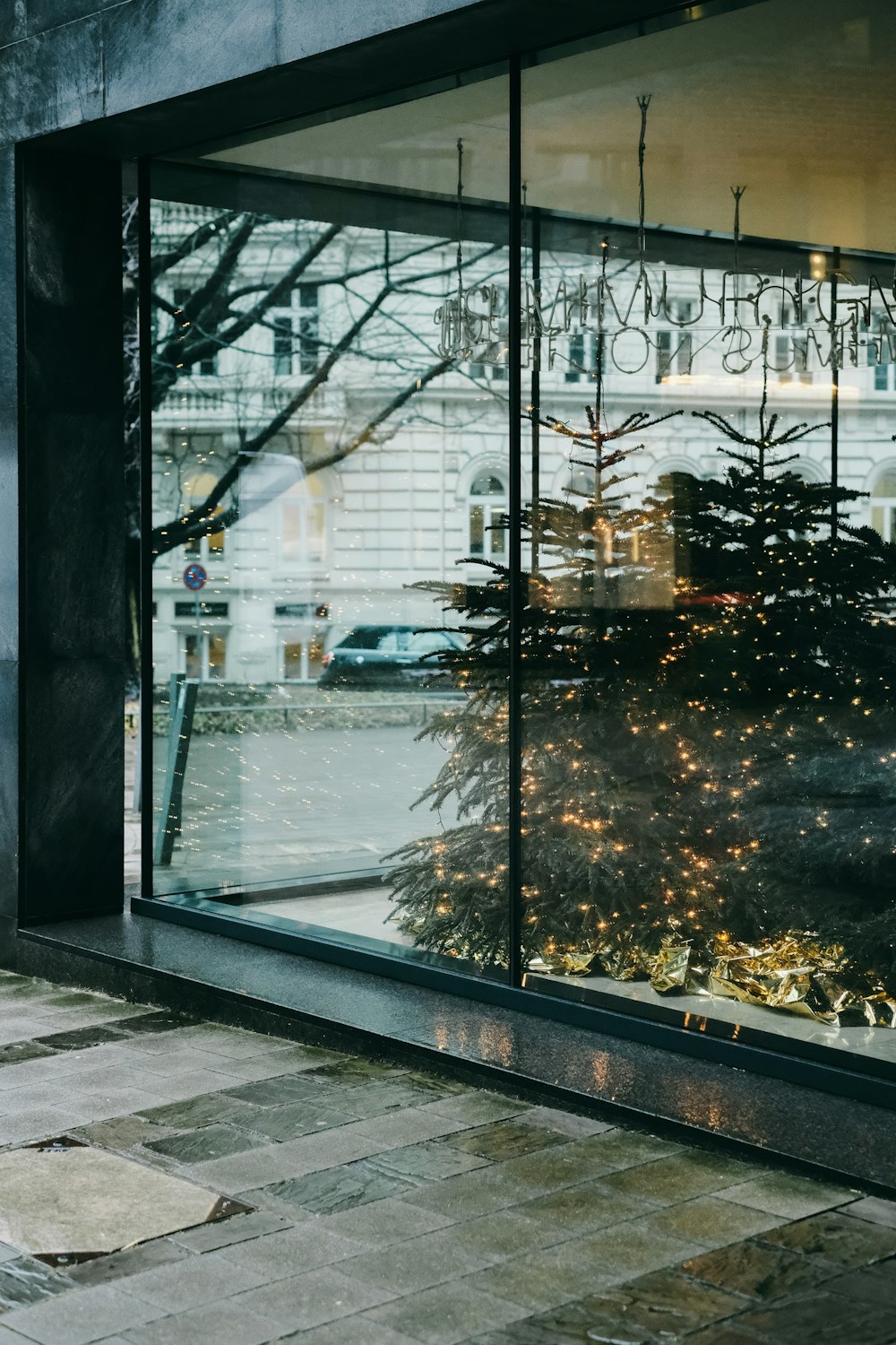 a large window with a christmas tree in it