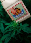a bottle of bug candy sitting on top of a green plant