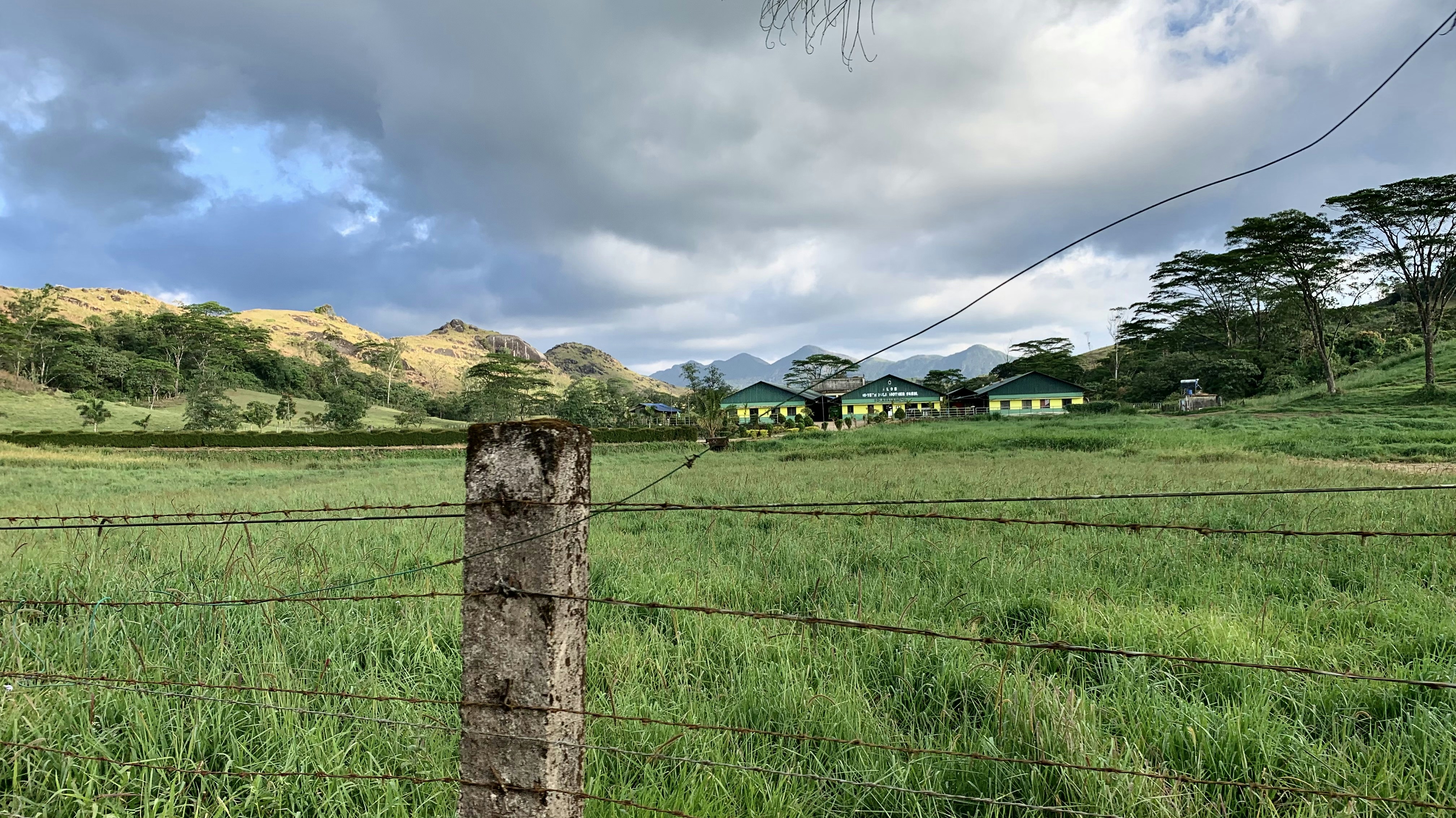 Photo by bijoyabraham