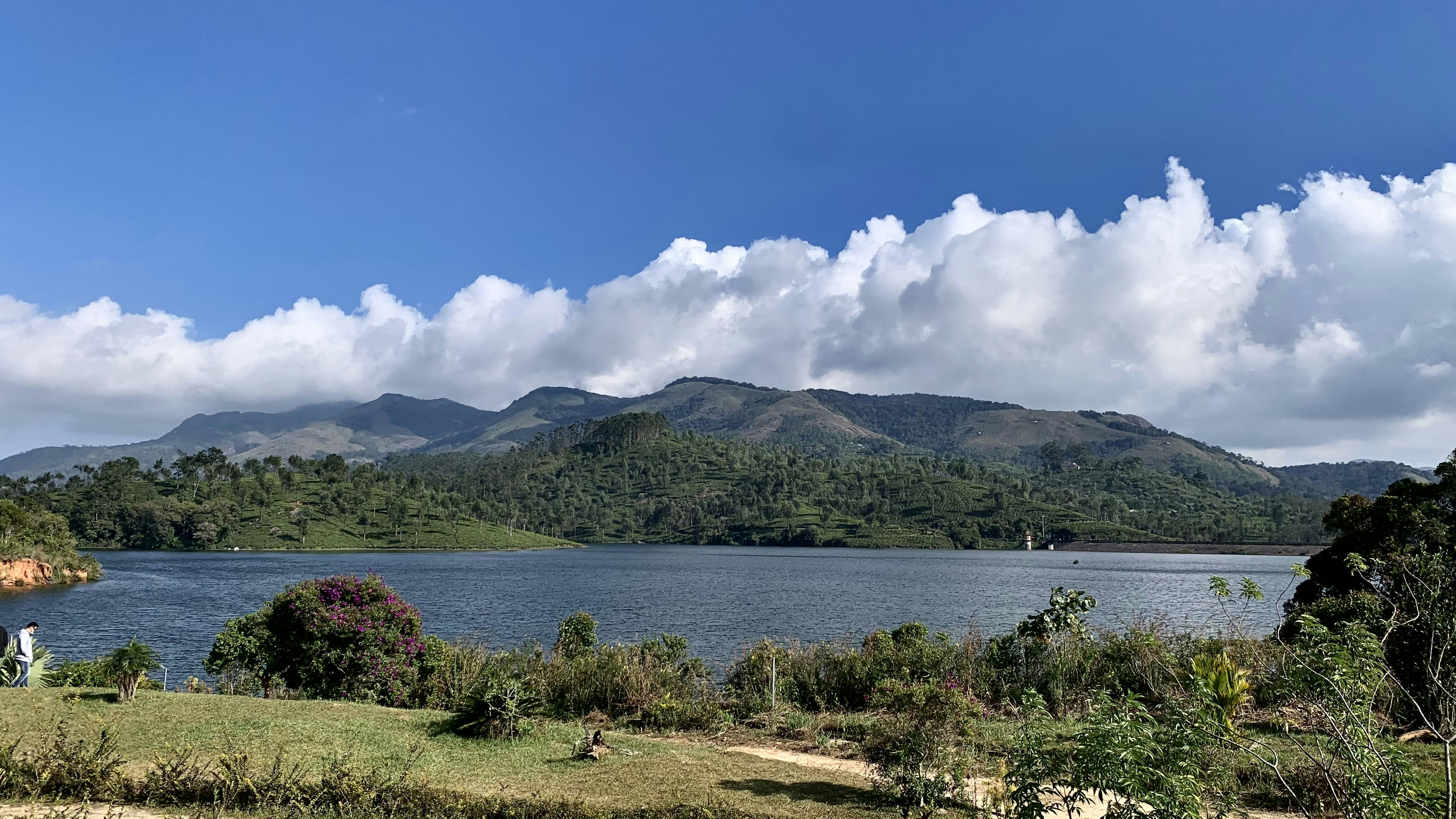 Photo by bijoyabraham