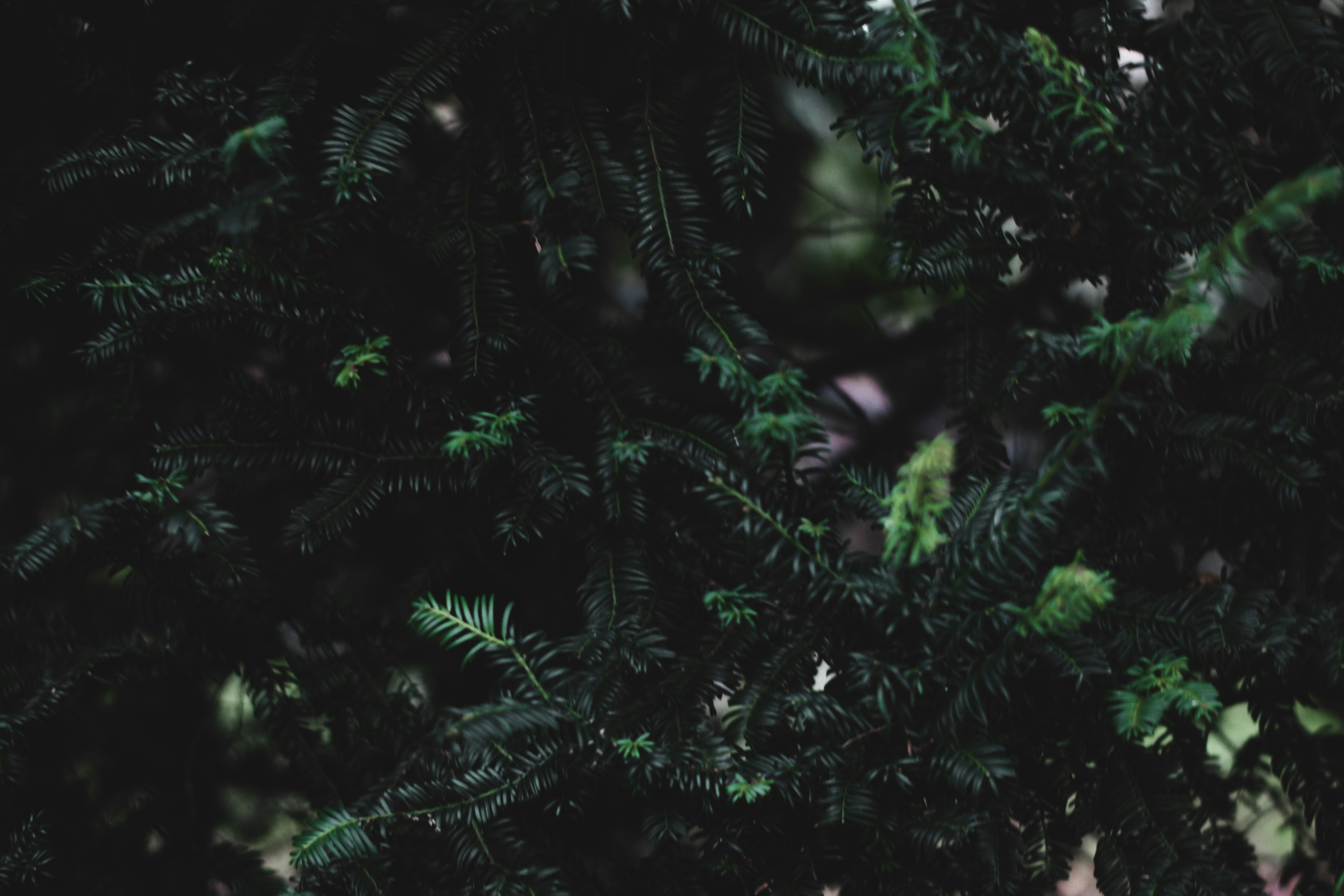 Photo by elliottmason