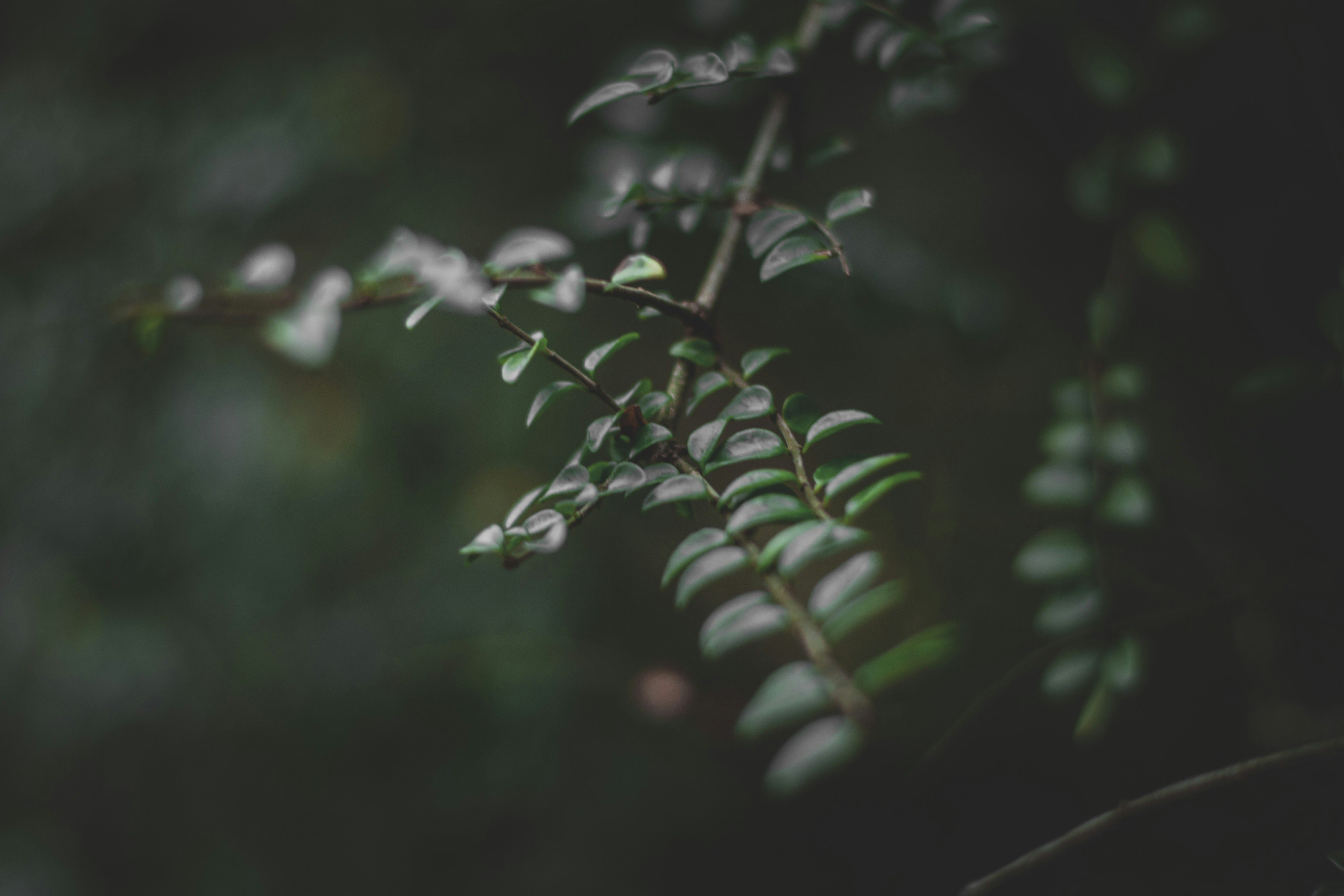 Photo by elliottmason