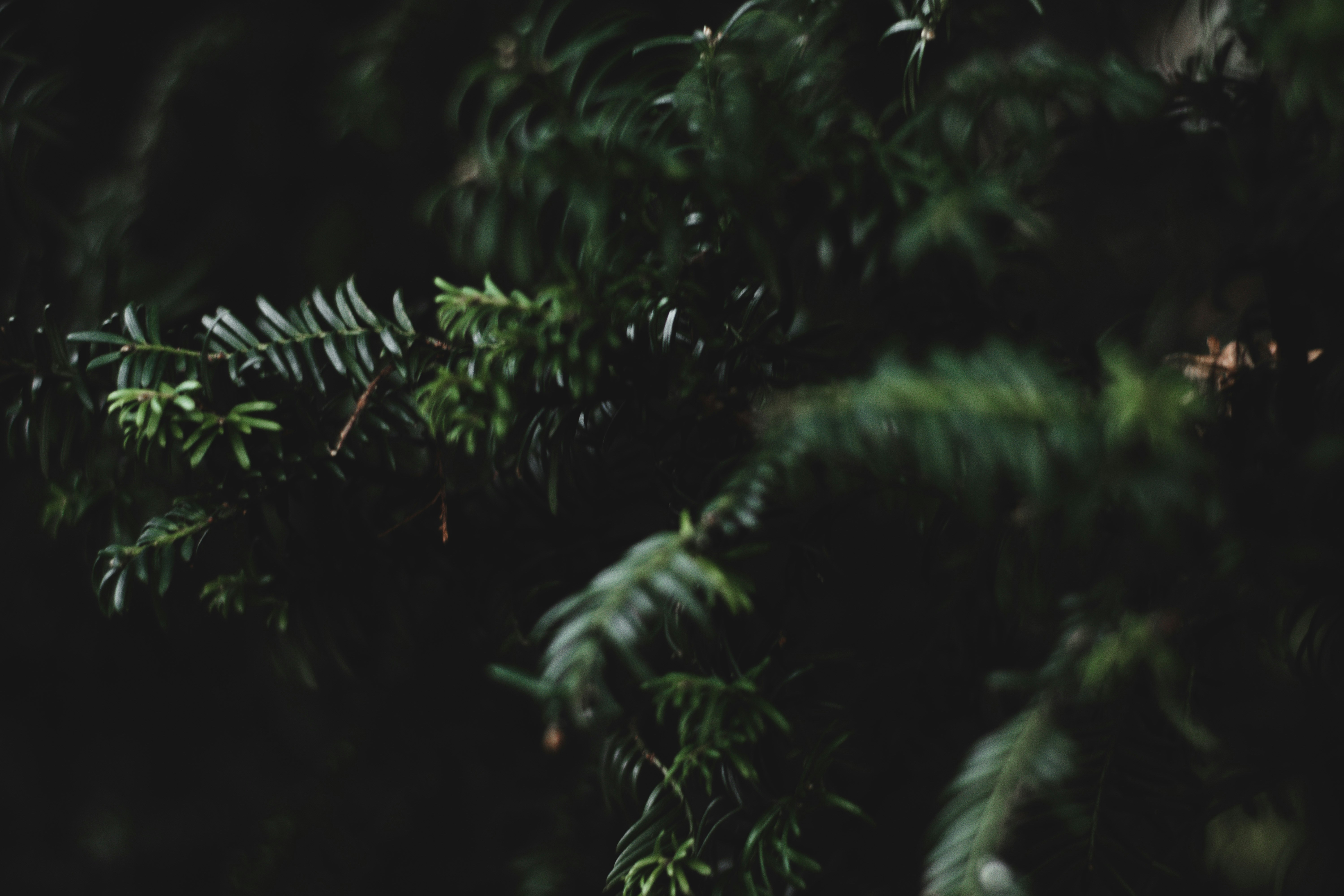 Photo by elliottmason