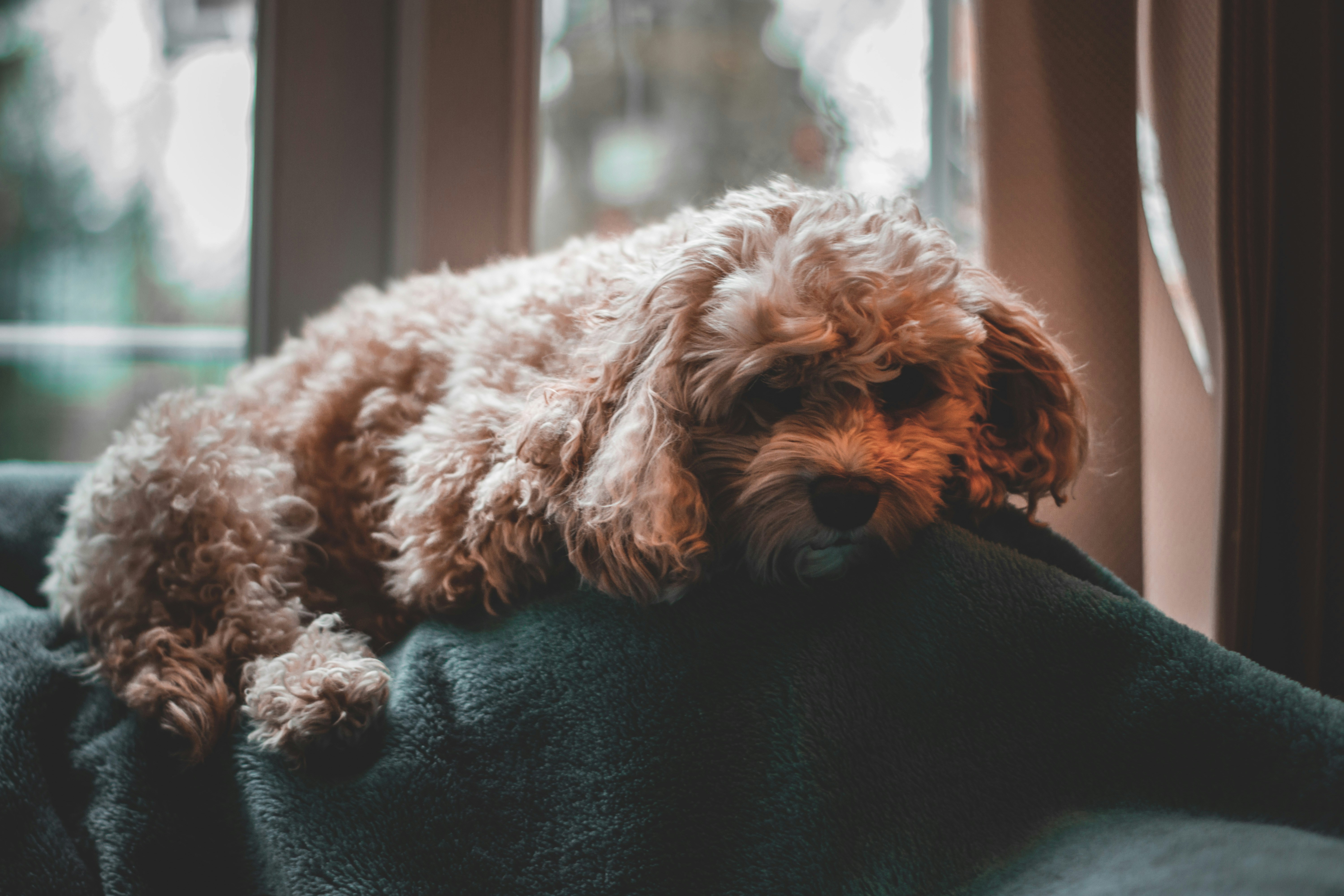 Photo by elliottmason