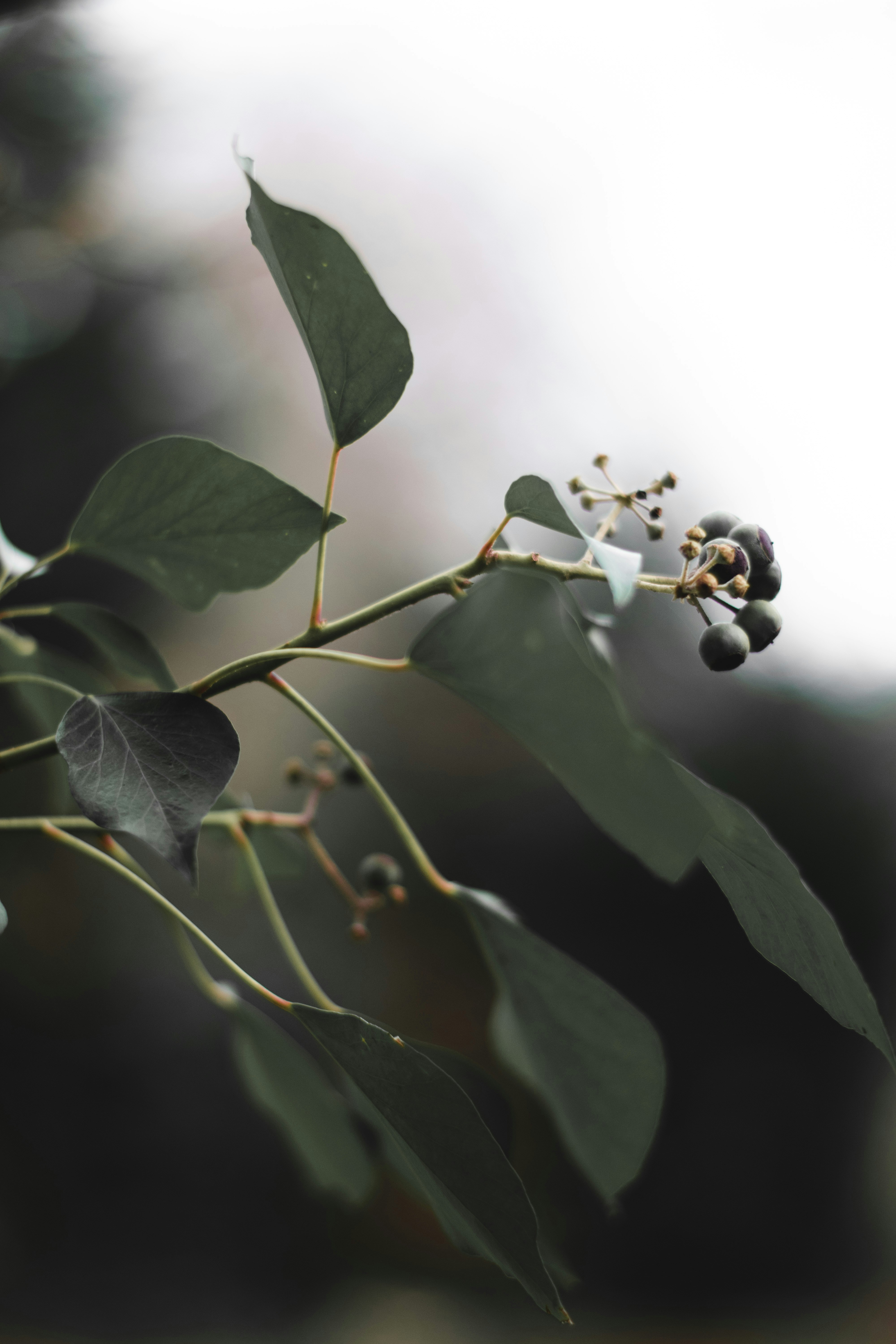 Photo by elliottmason