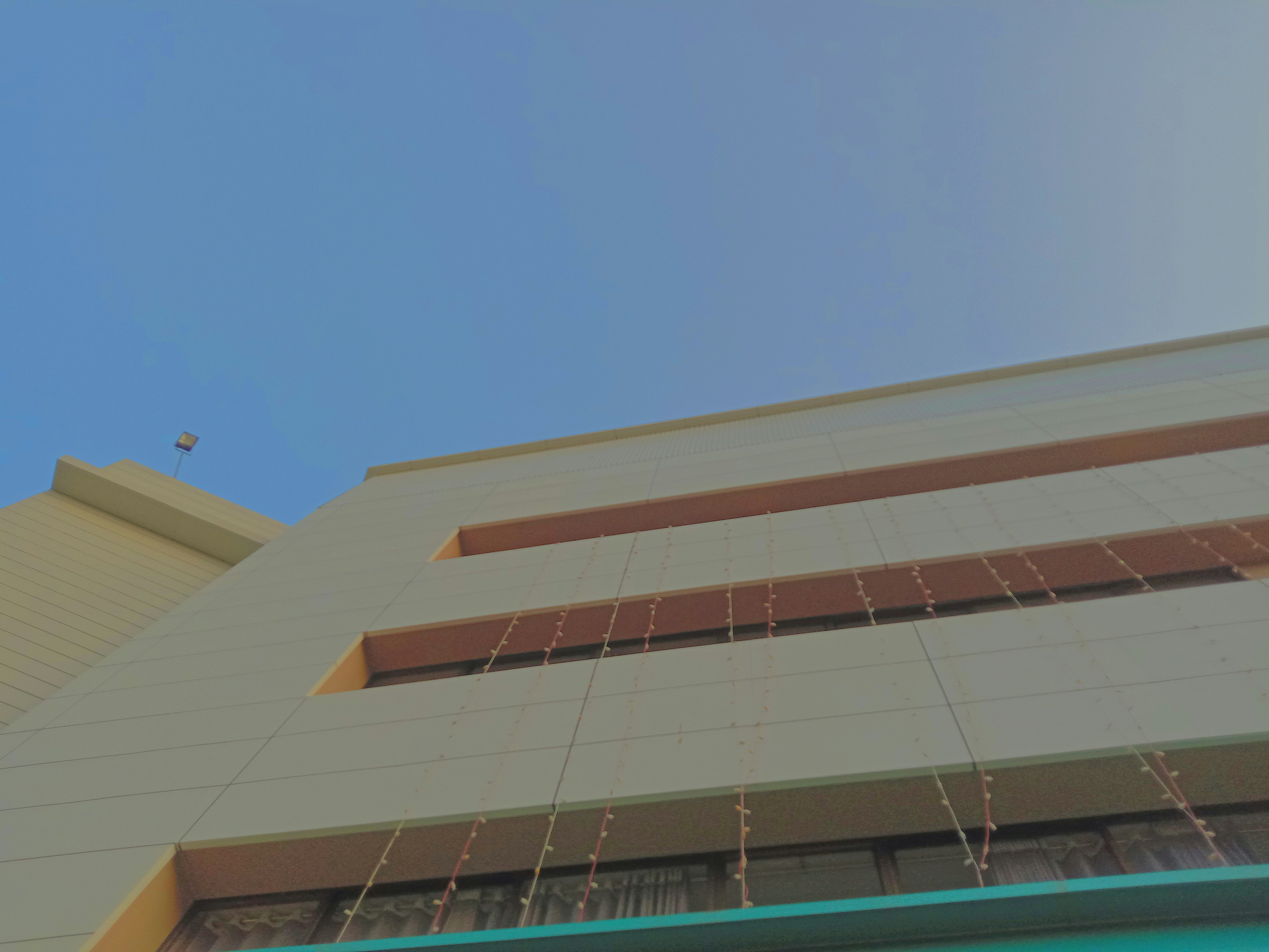 Photo by pinkreptoid