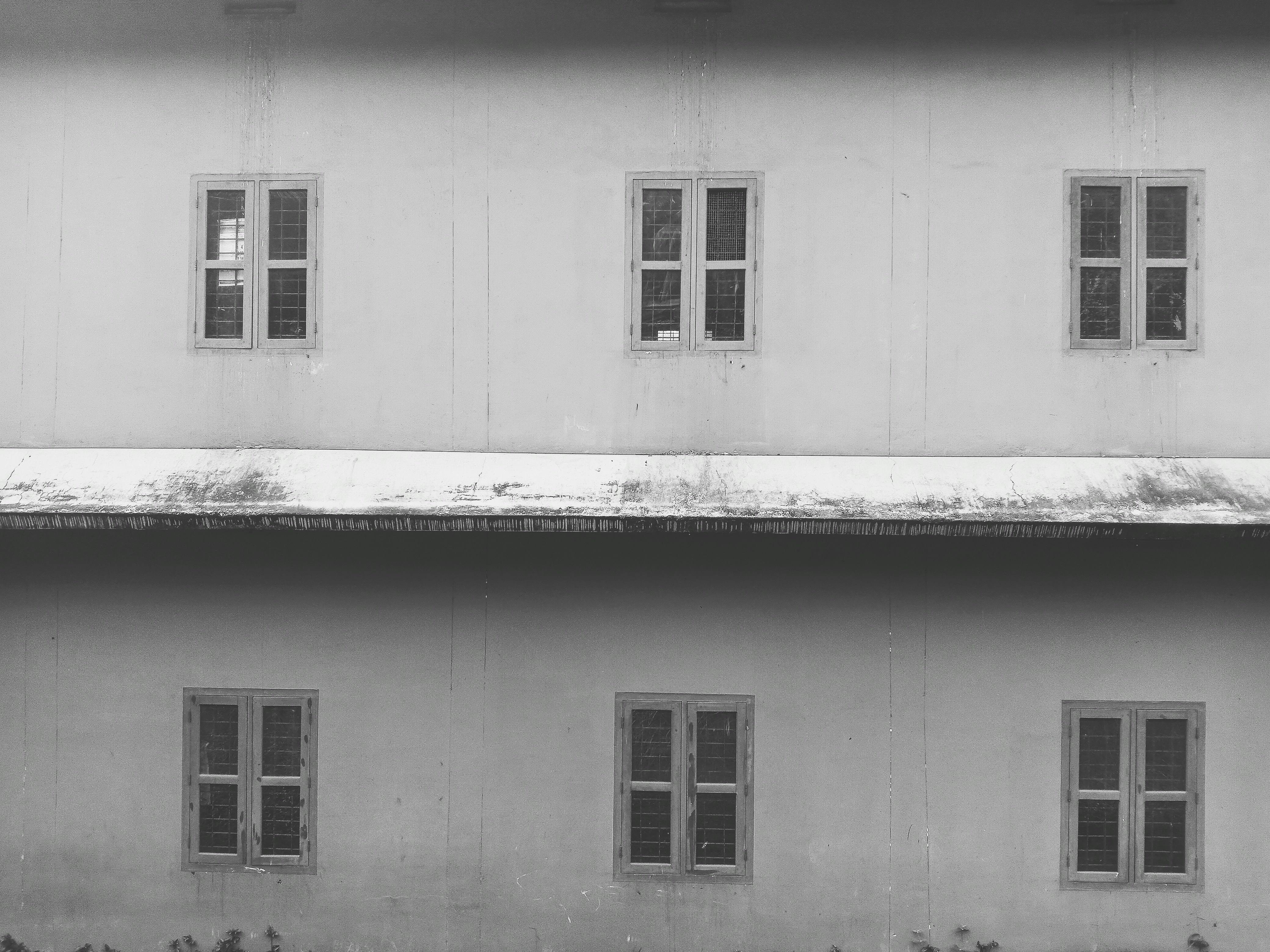 Photo by pinkreptoid