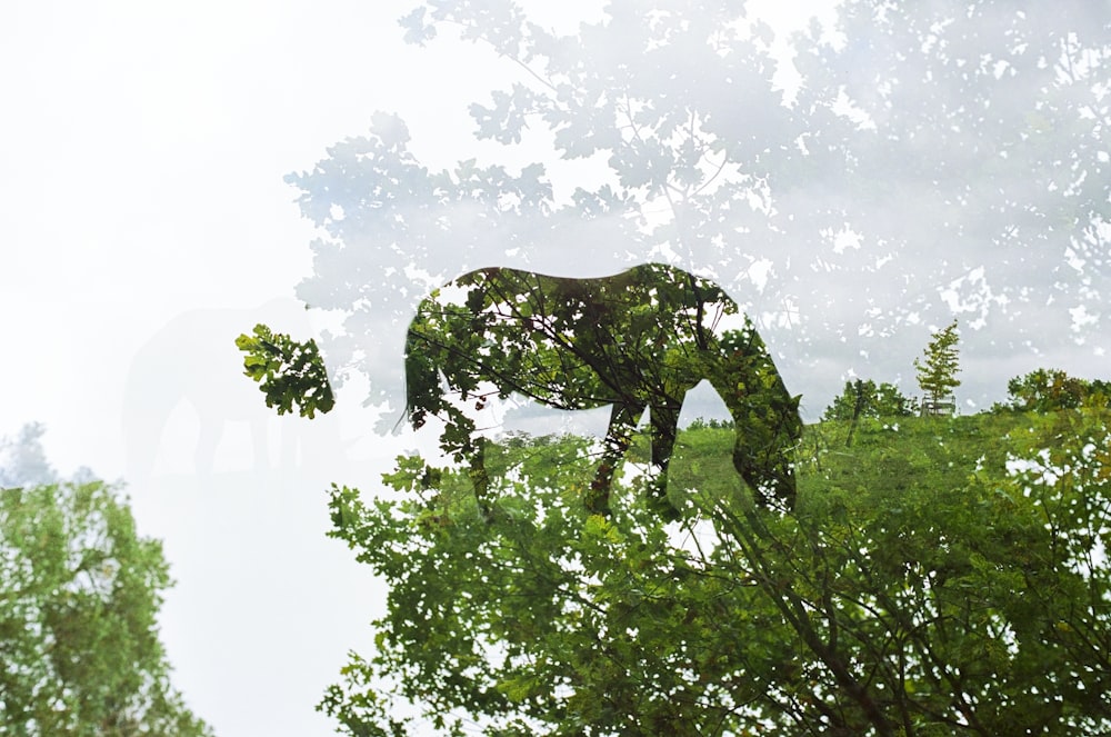 un cheval debout dans l’herbe