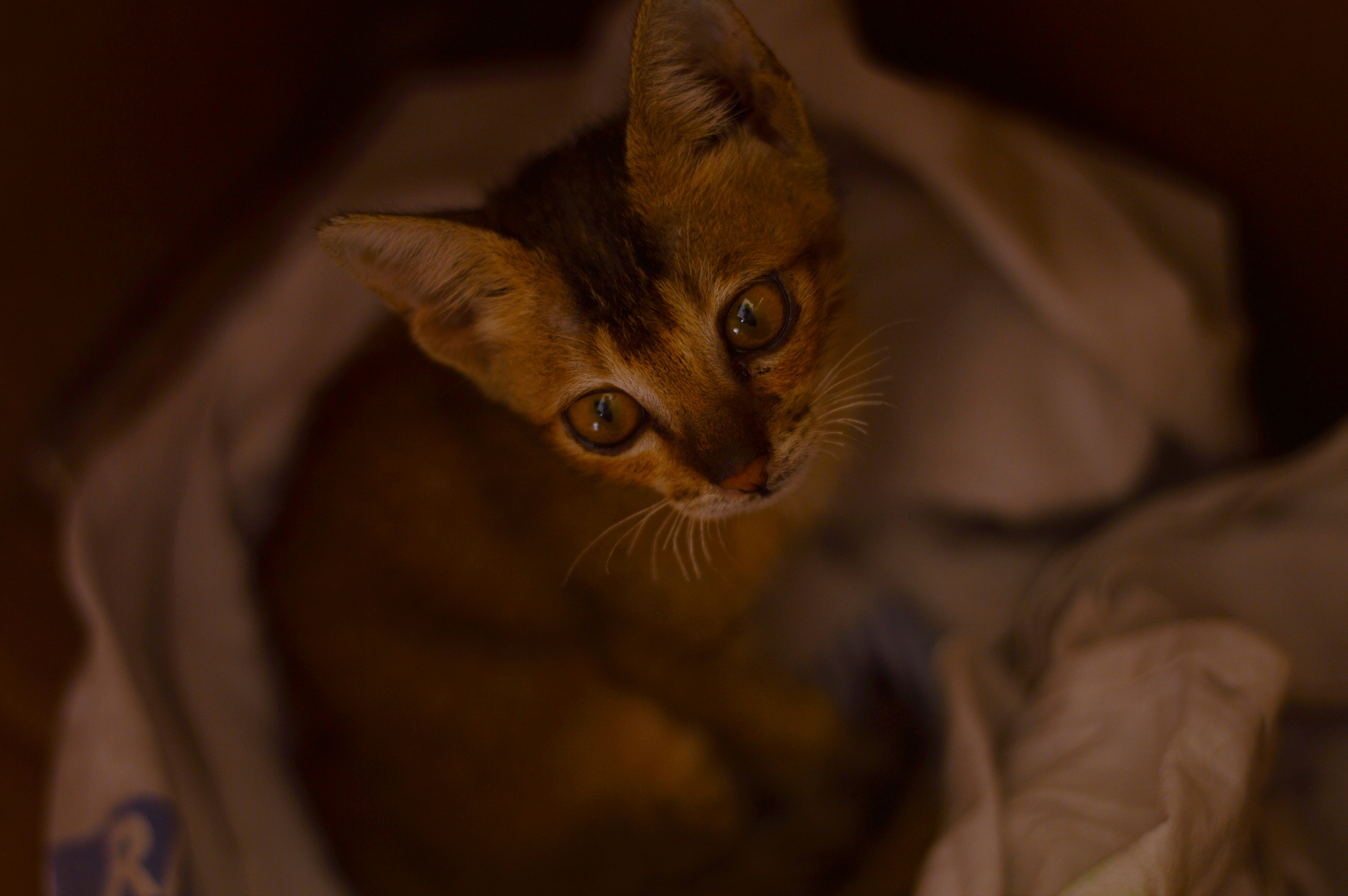 Photo by pacific_sailor