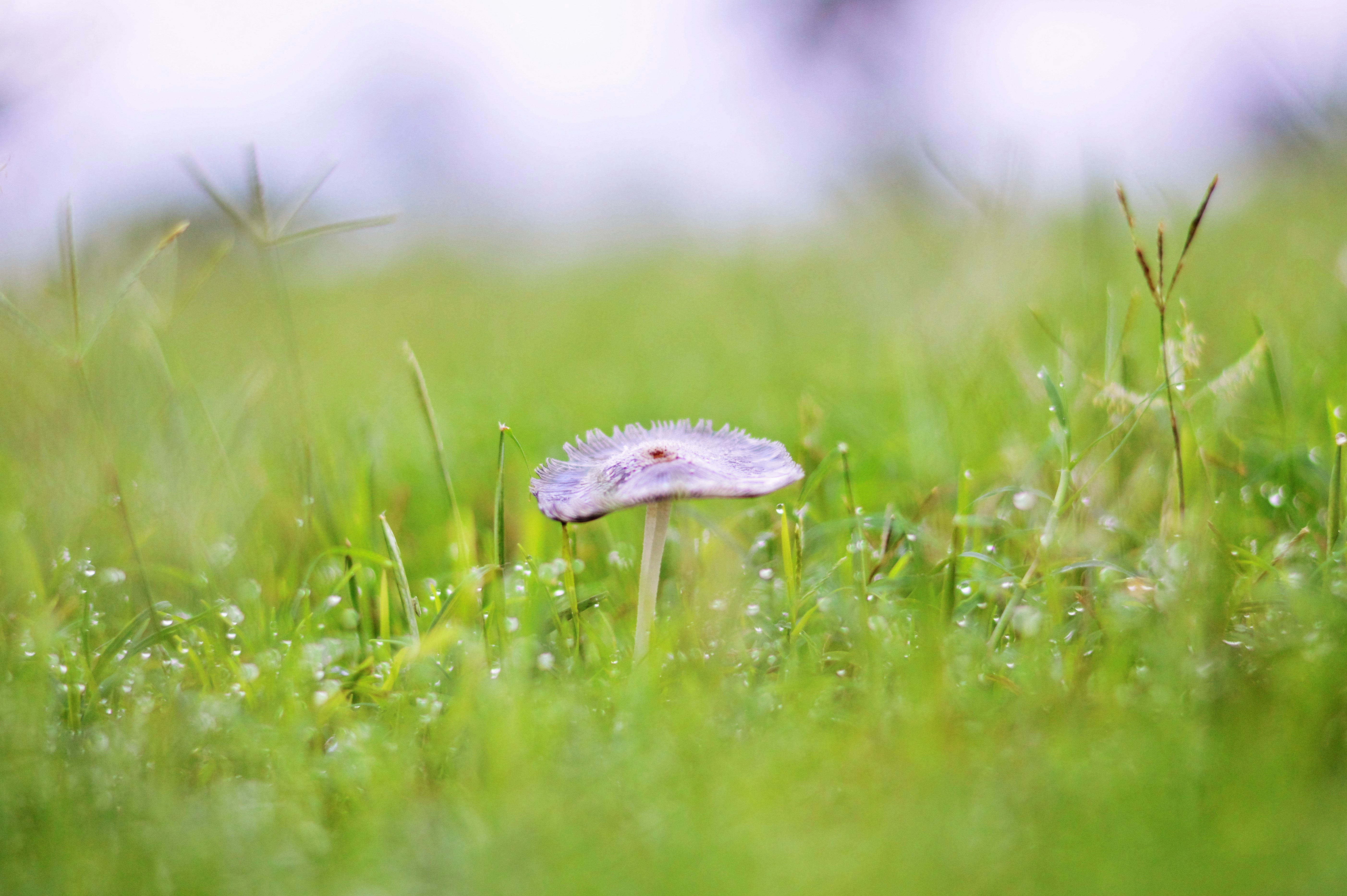 Photo by pacific_sailor