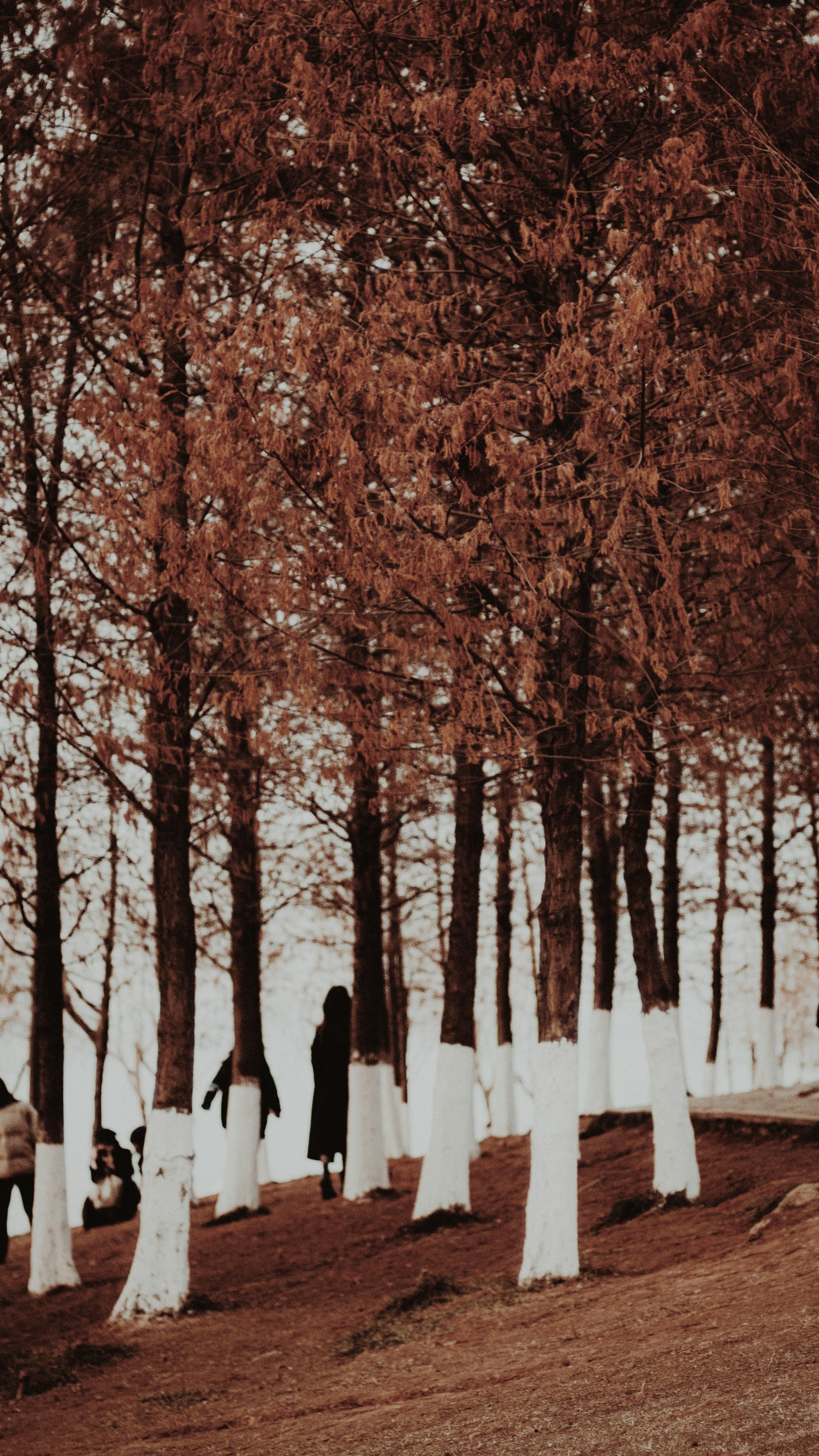 Photo by xiexianghua