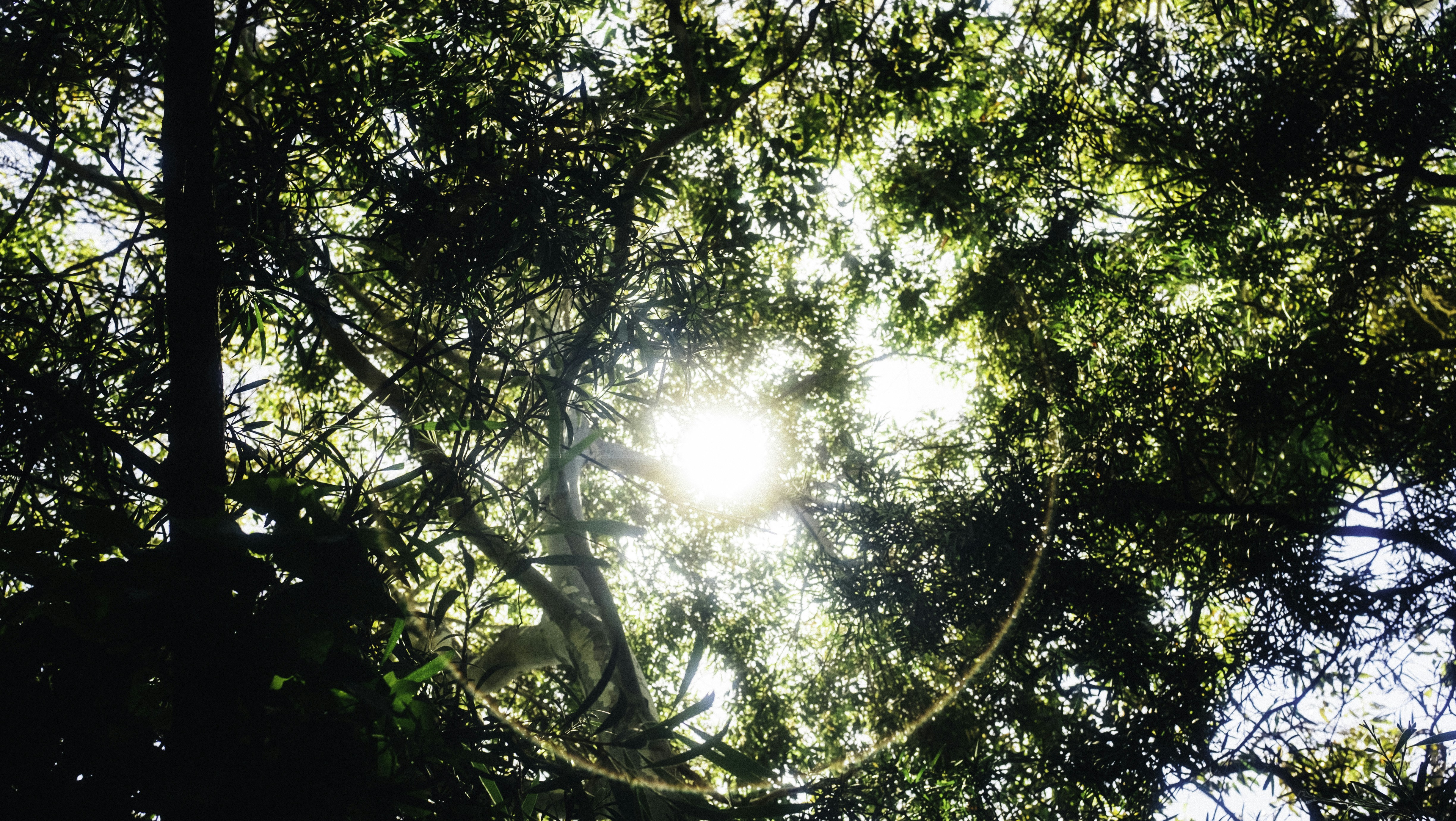 Photo by dheeraj1102