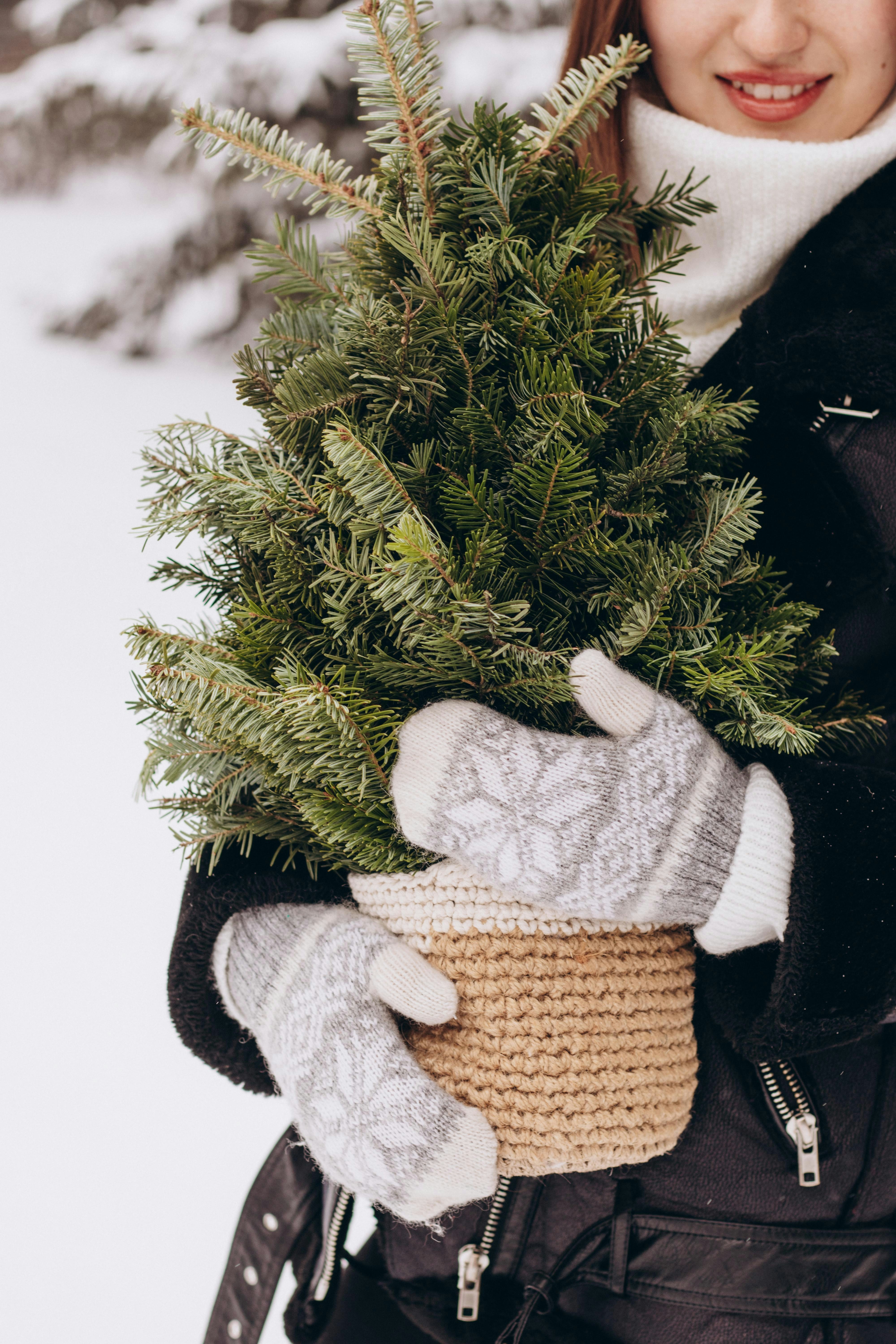 Photo by juli_ivanina