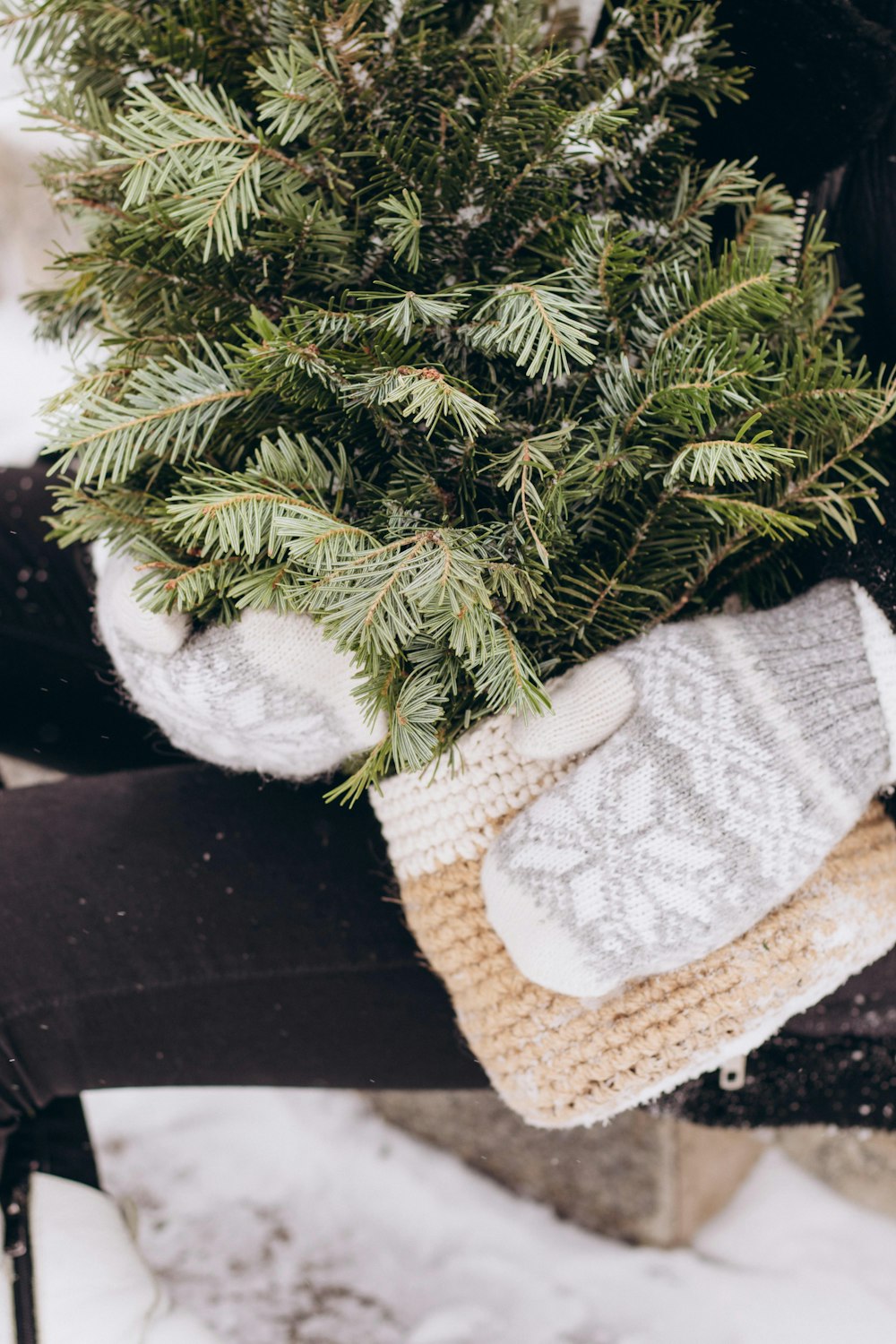 a person wearing mittens and gloves holding a tree