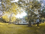 A serene home environment representing home insurance.