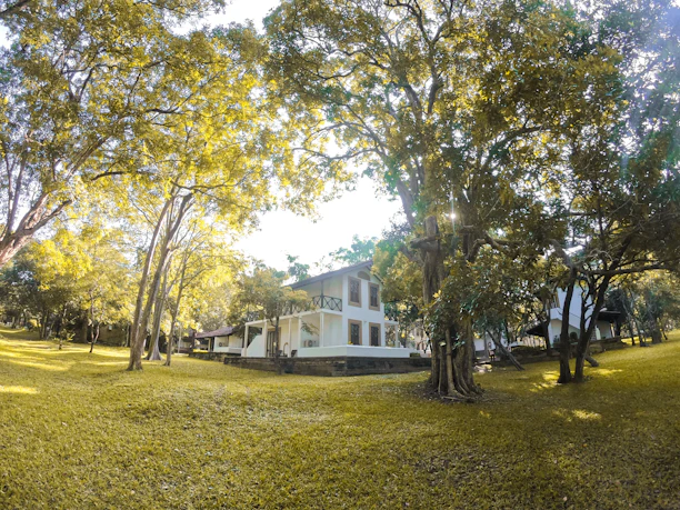 Sunlit exterior of a peaceful vacation house surrounded by lush greenery.