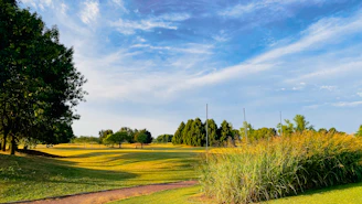 A scenic plot of land with green grass and clear skies, ready for building.