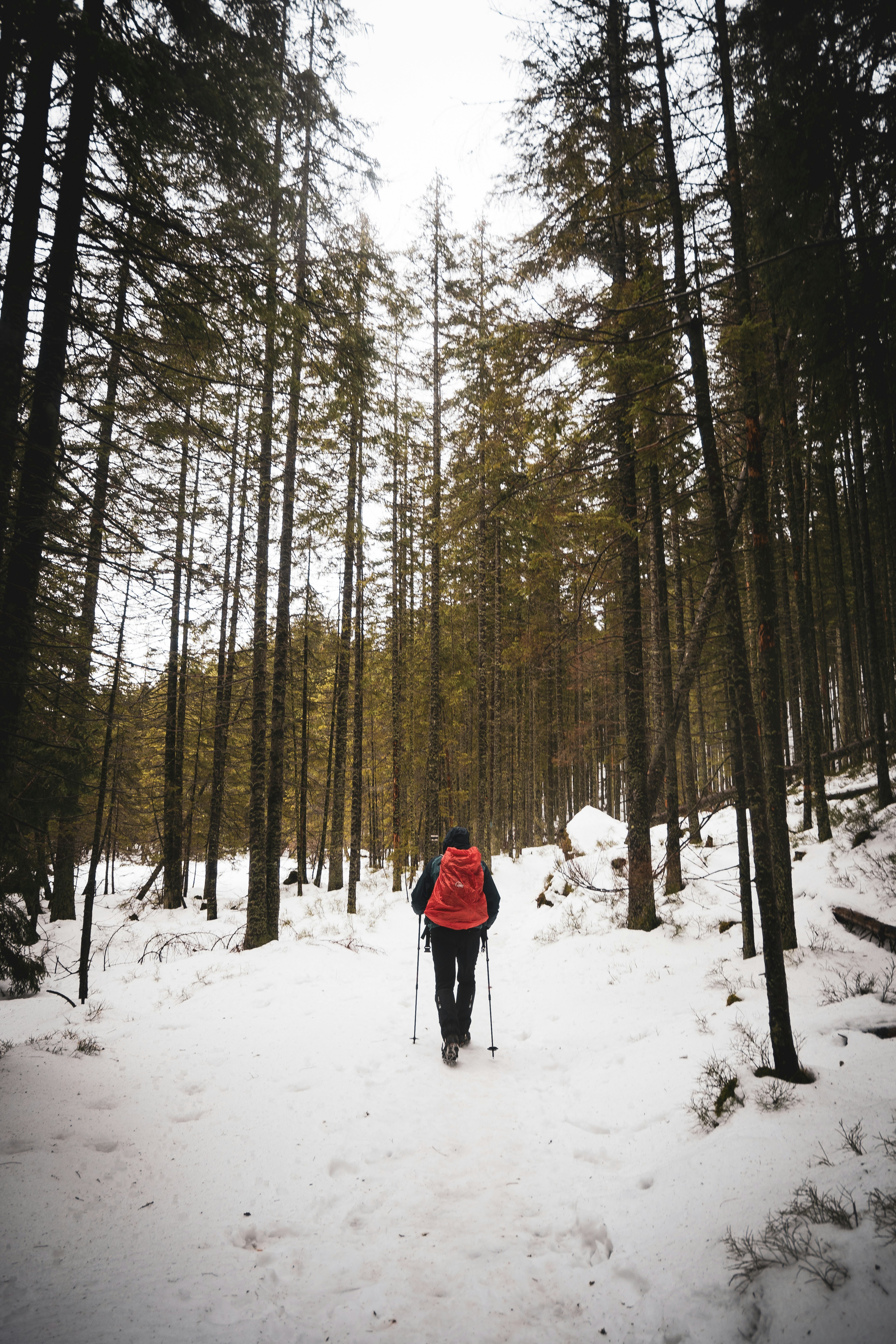 Photo by sylwiabartyzel