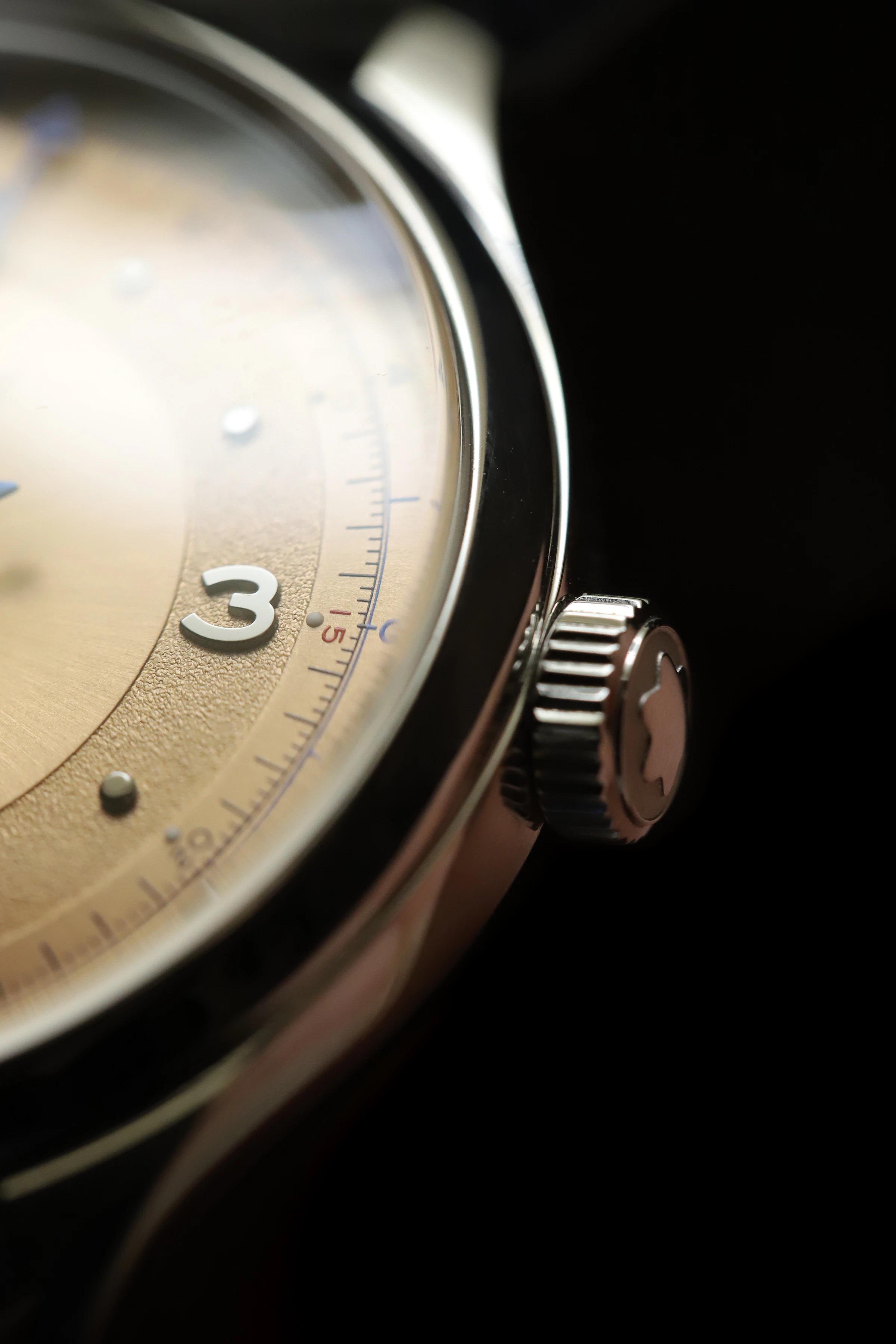 Macro of a watch case flank and knurled crown