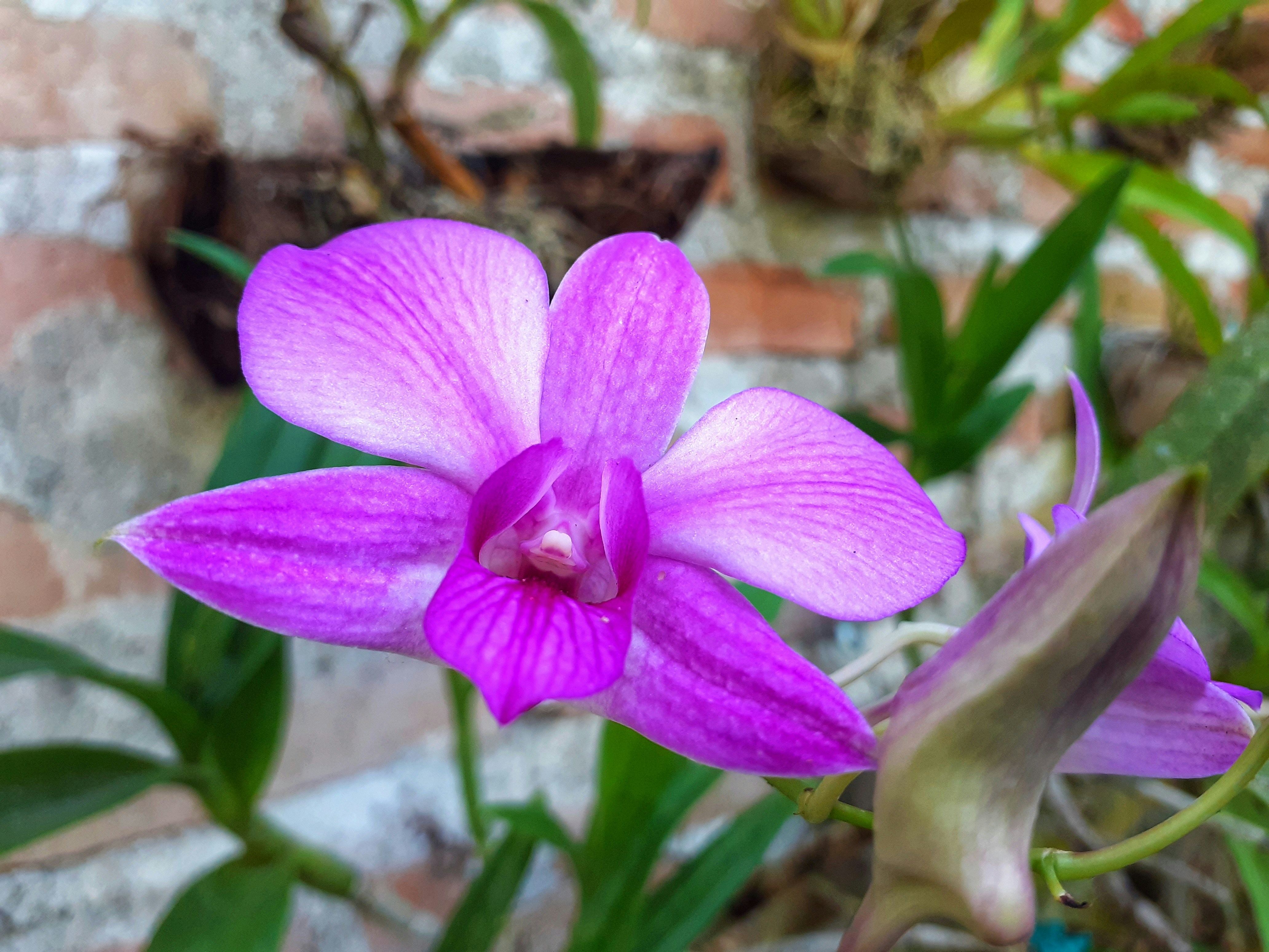 Photo by ahmadkharis