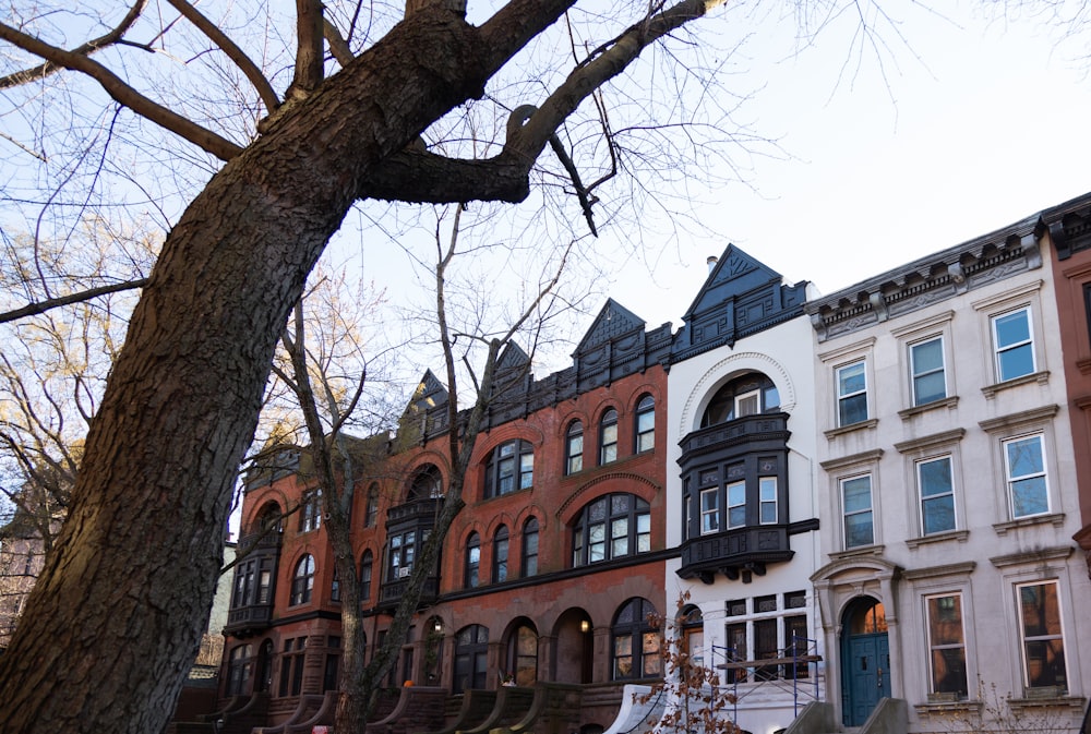 a row of multi - family houses in a residential area