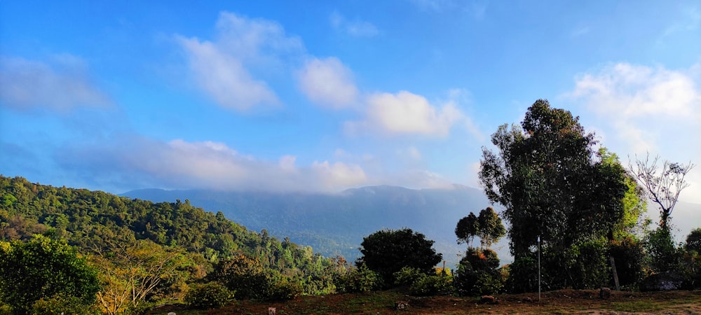 a view of a mountain range with trees and mountains in the background