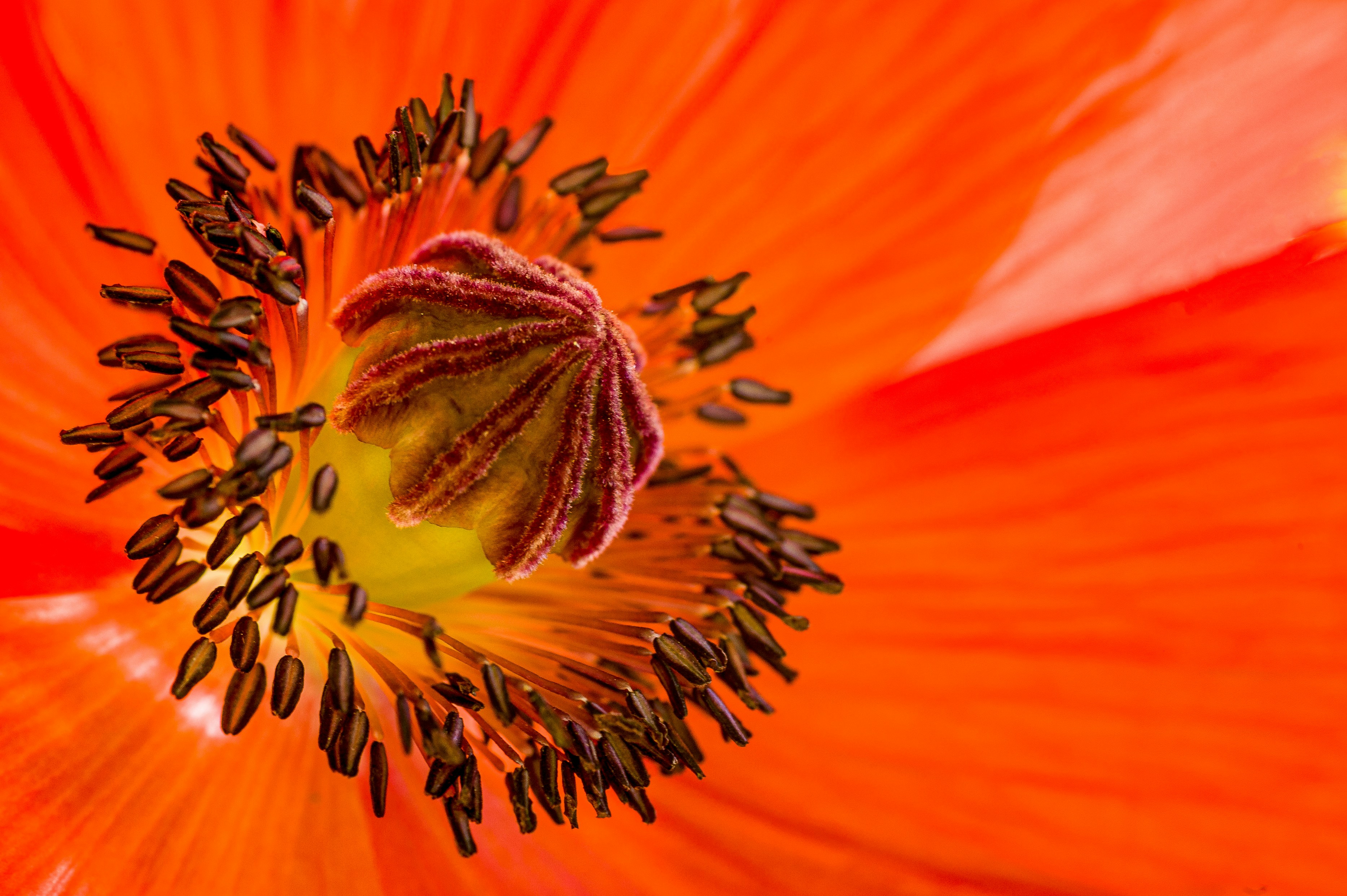 Photo by bmeyendriesch