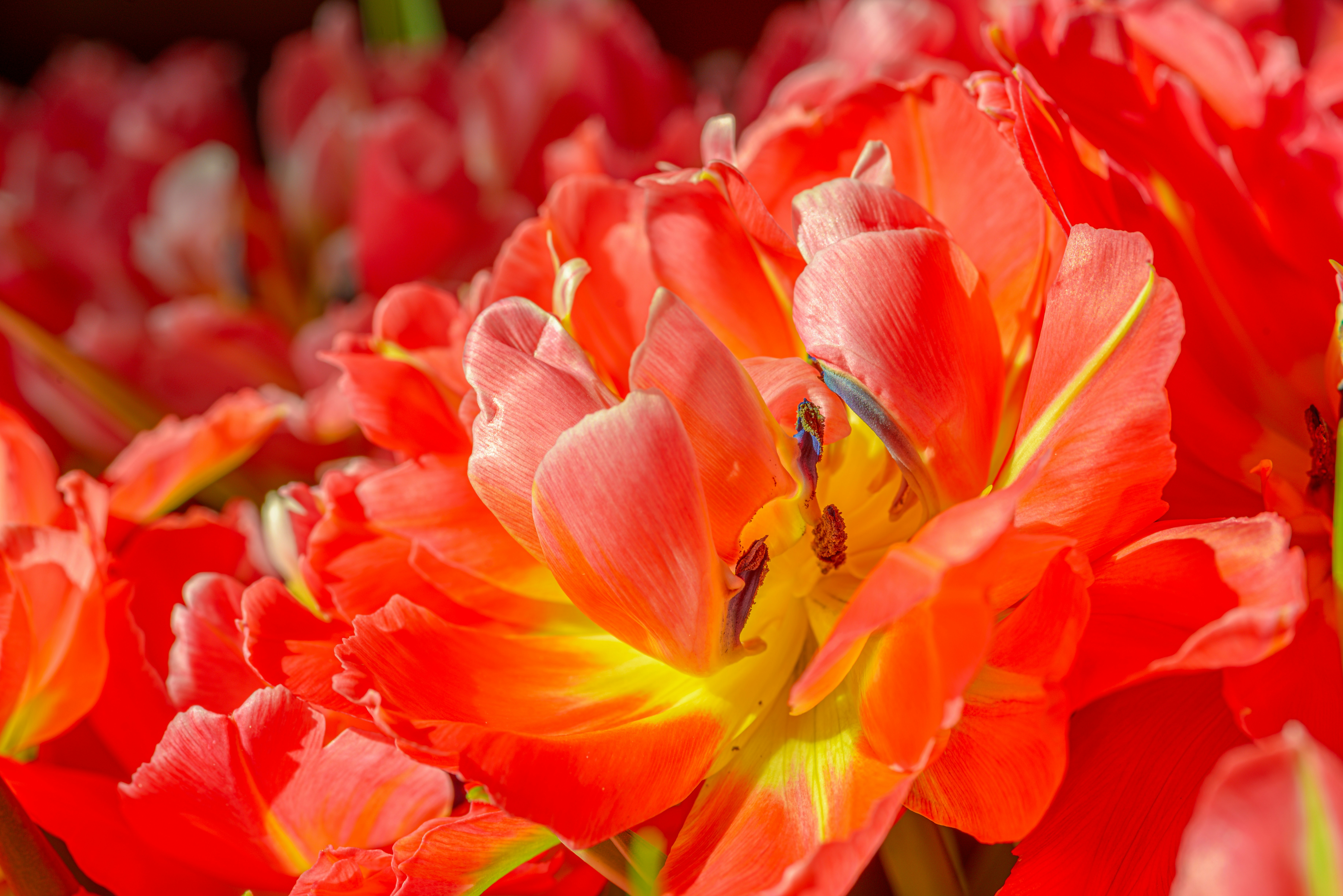 Photo by bmeyendriesch