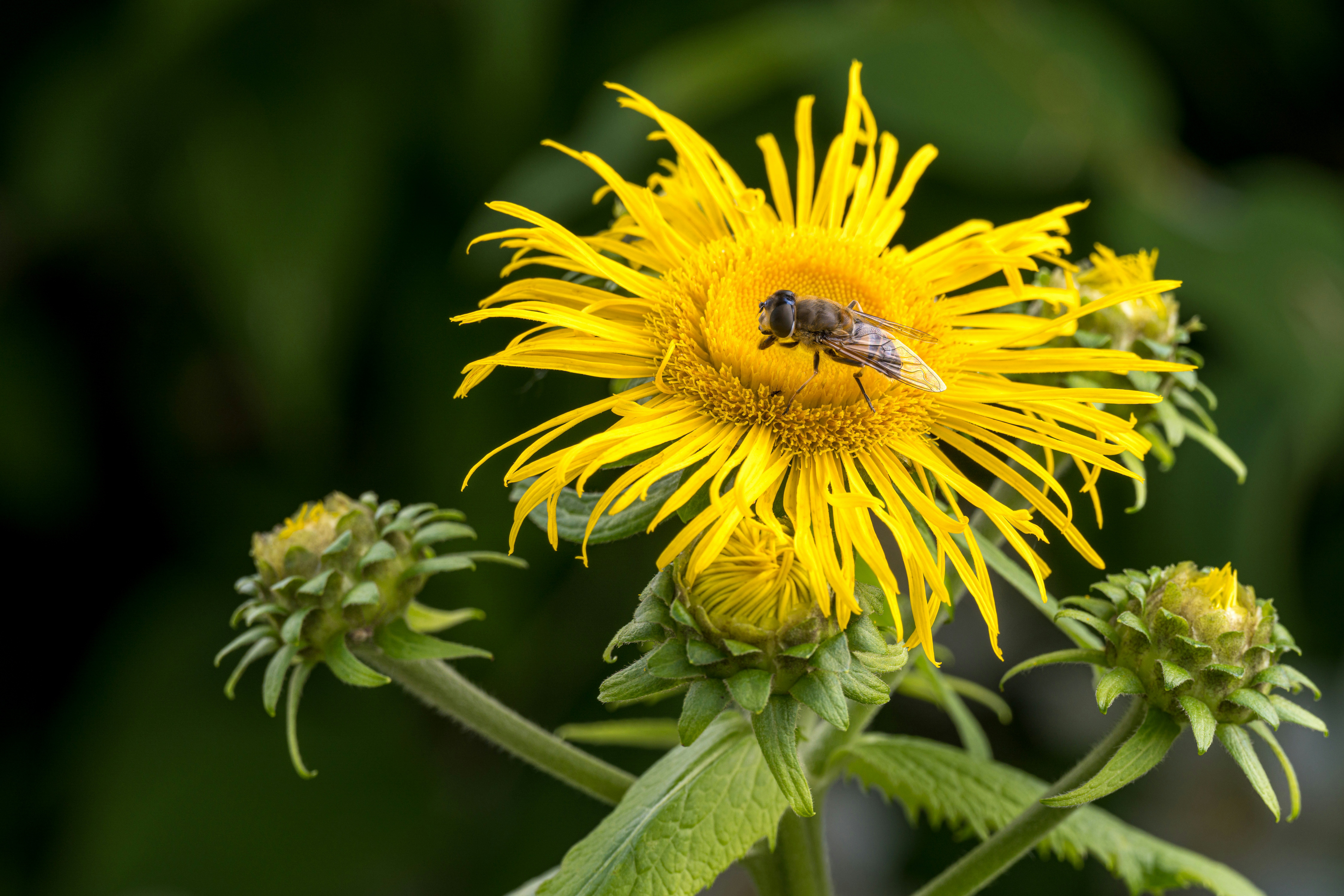 Photo by bmeyendriesch