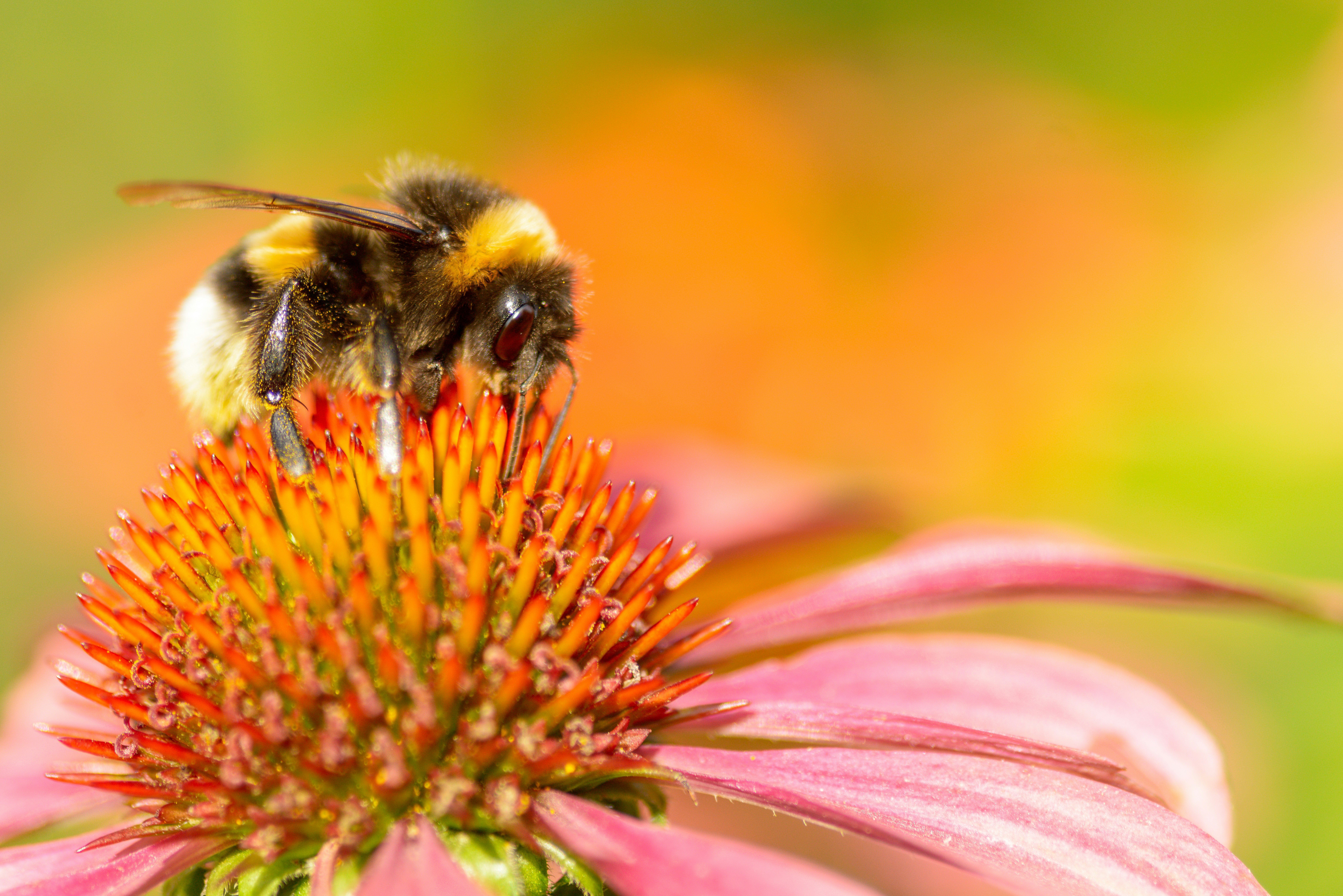 Photo by bmeyendriesch