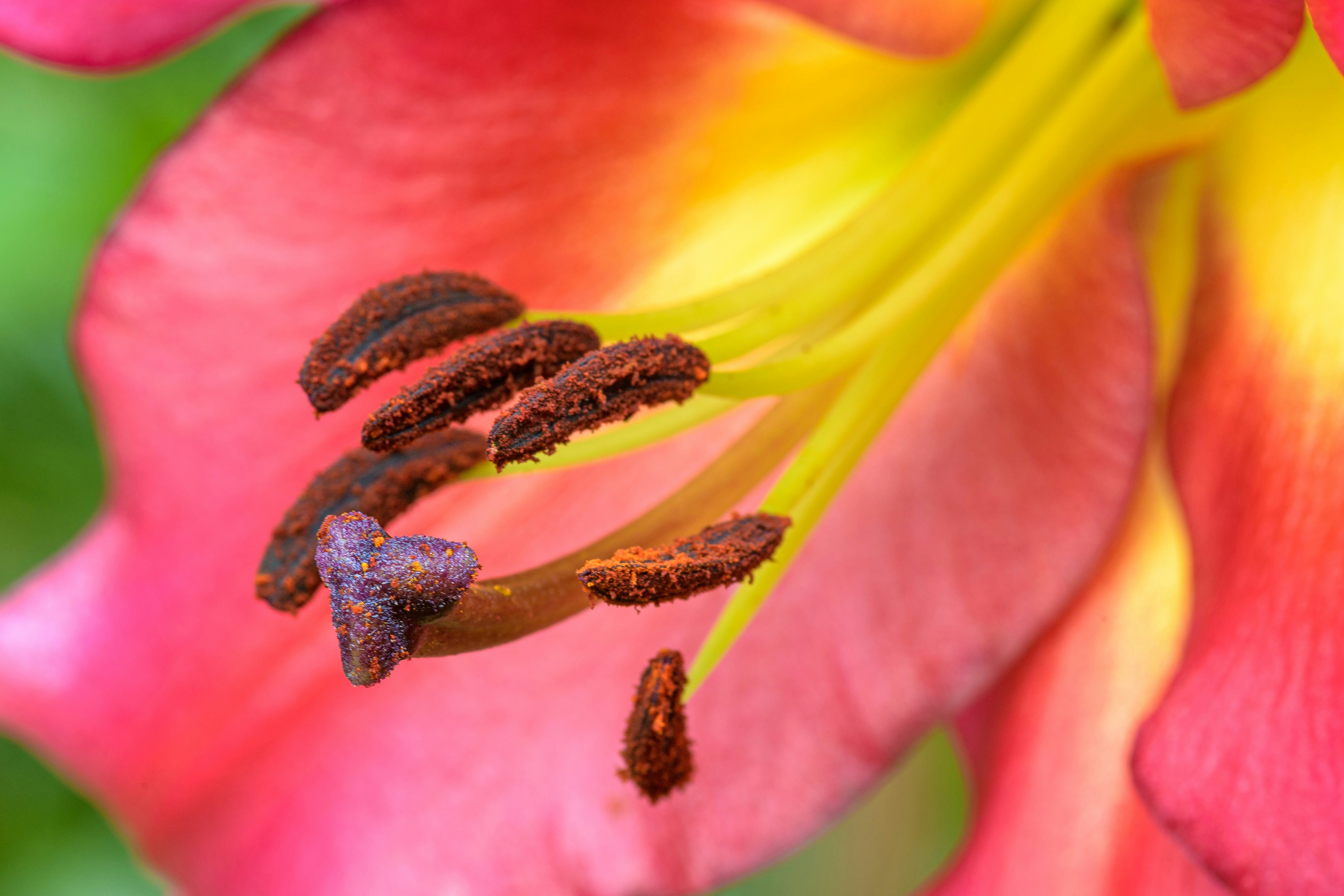 Photo by bmeyendriesch