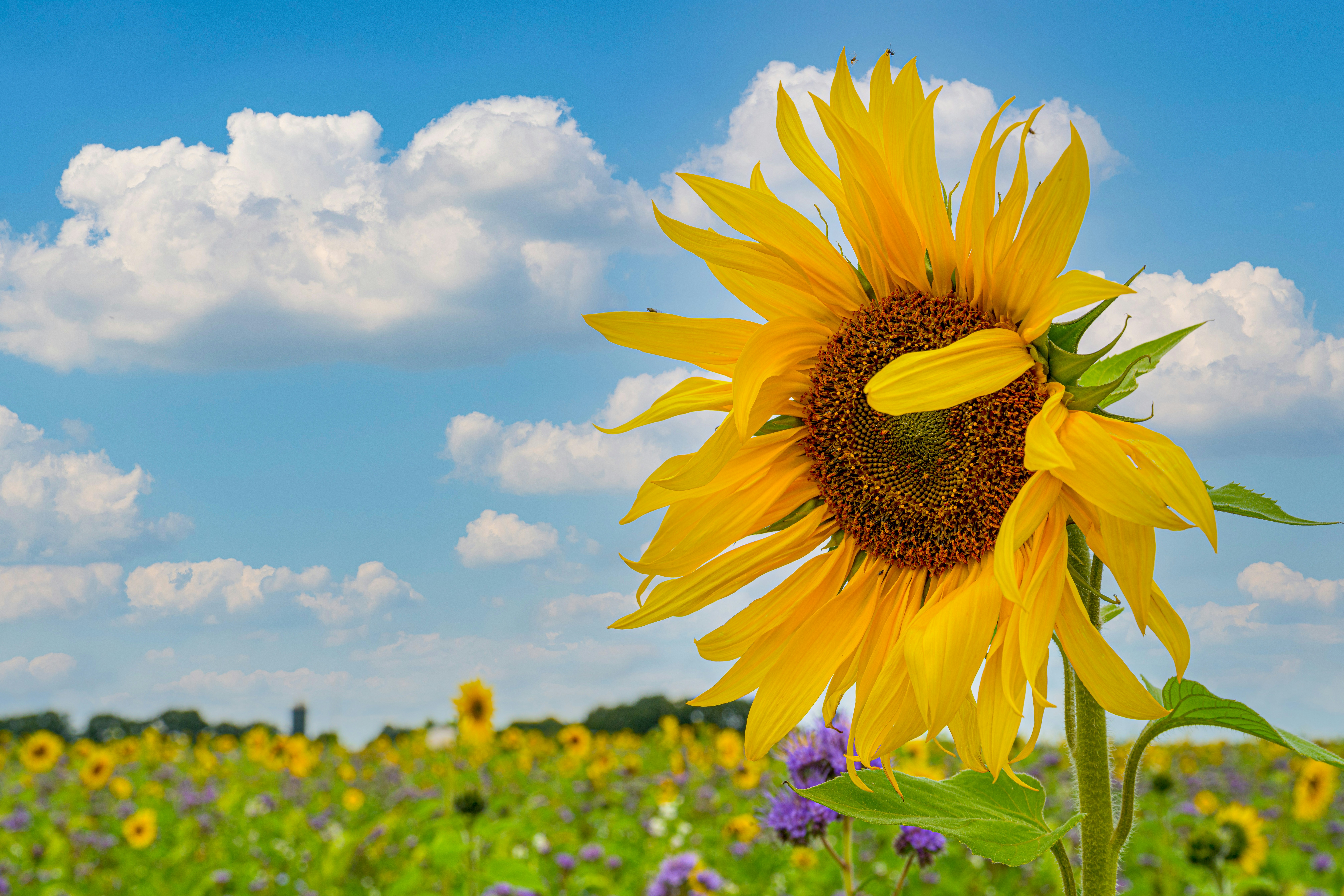 Photo by bmeyendriesch