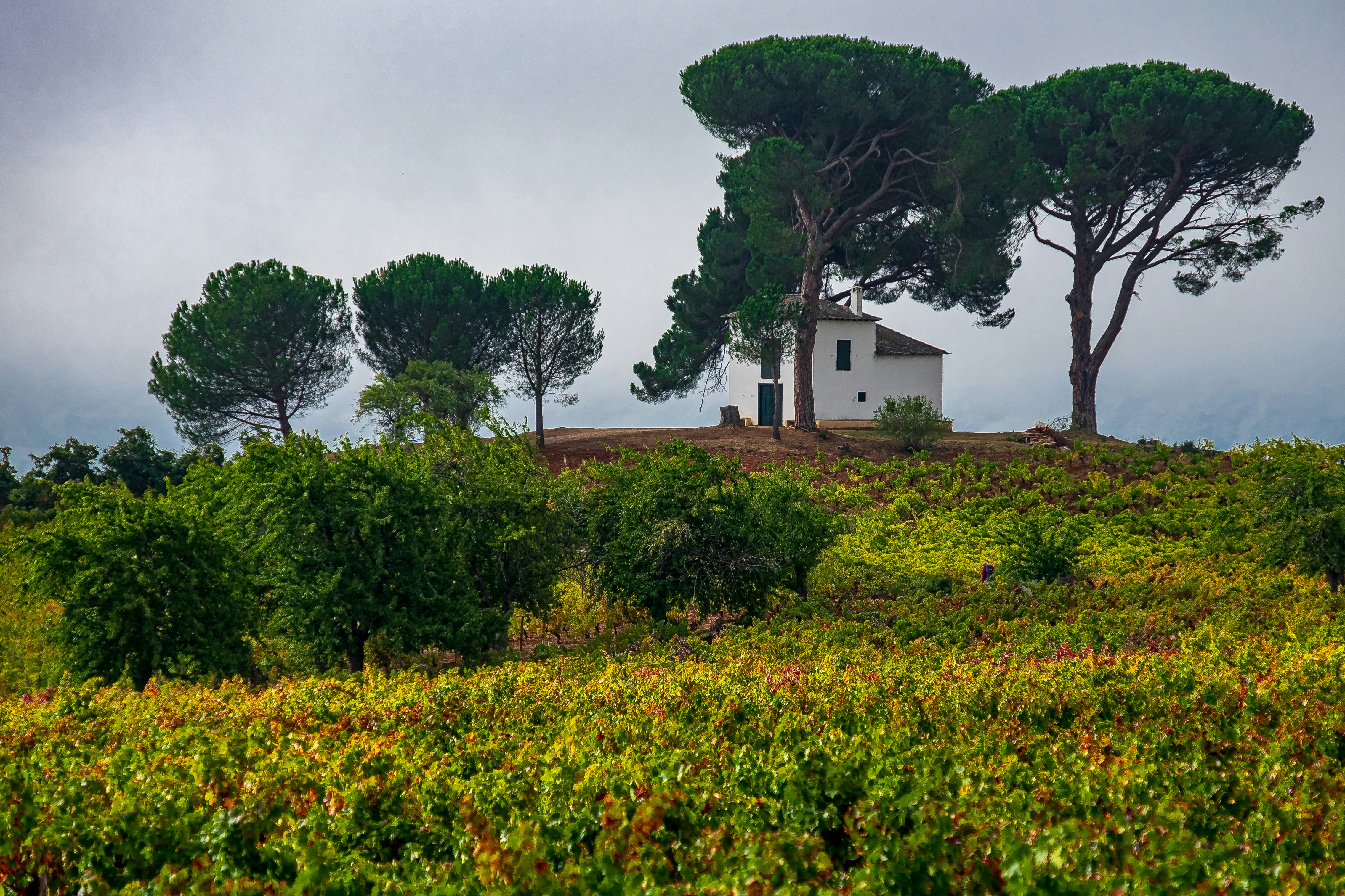 Photo by bmeyendriesch