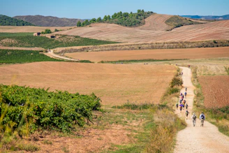 a group of people riding bikes down a dirt road