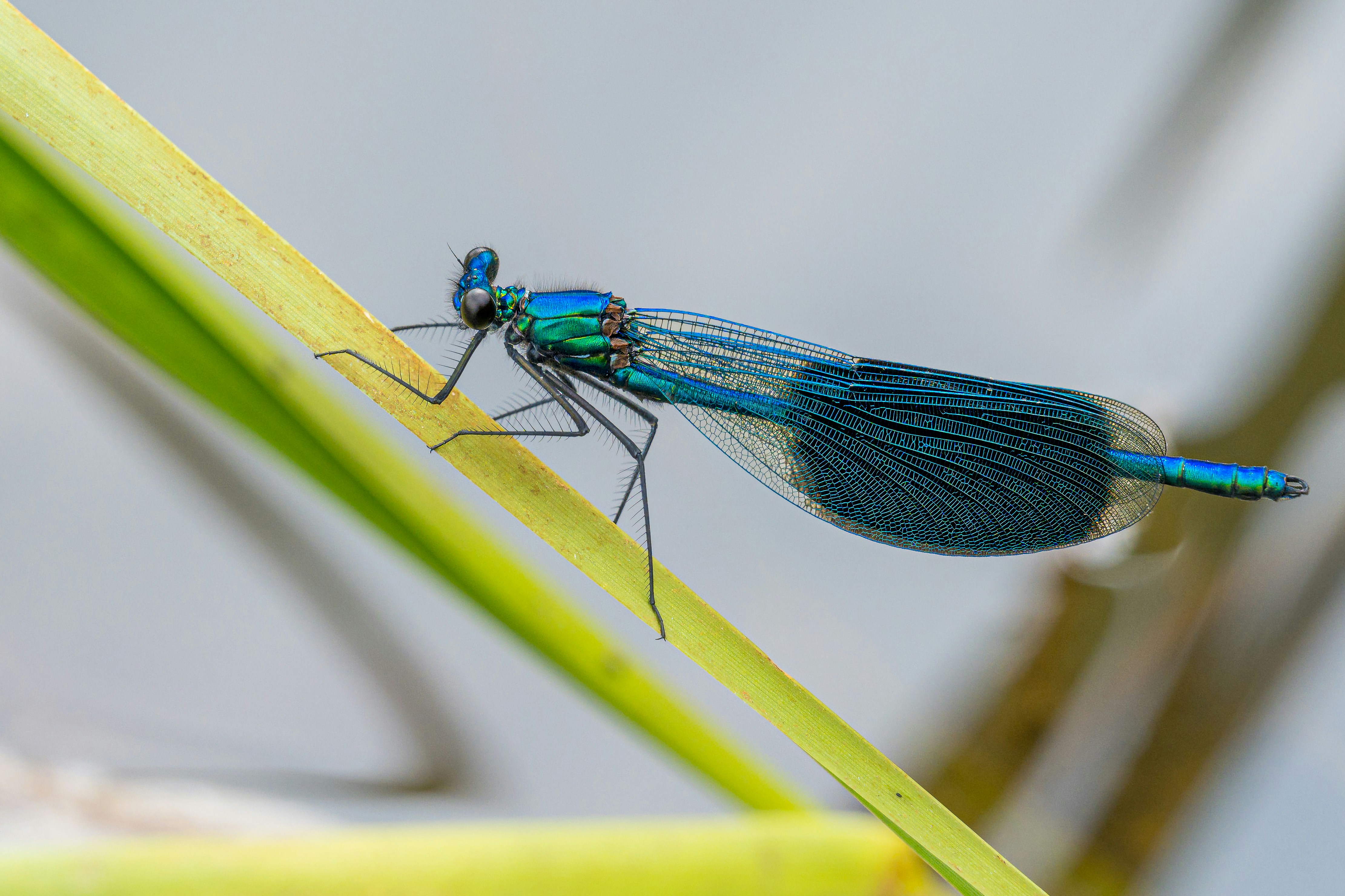 Photo by bmeyendriesch