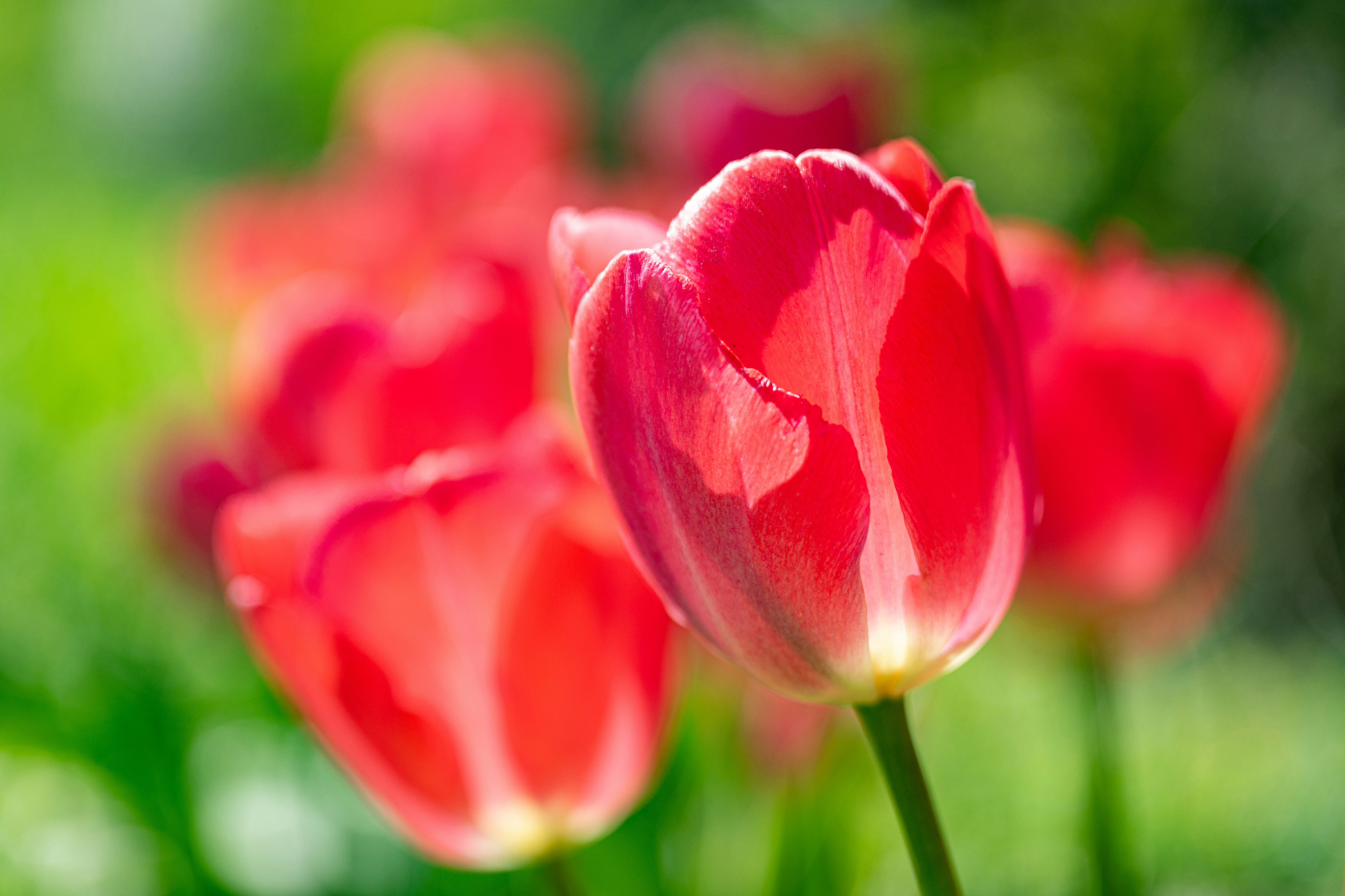 Photo by bmeyendriesch