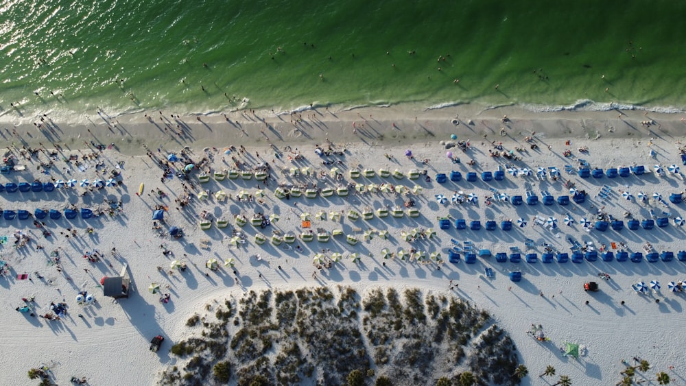 a group of people standing on top of a sandy beach