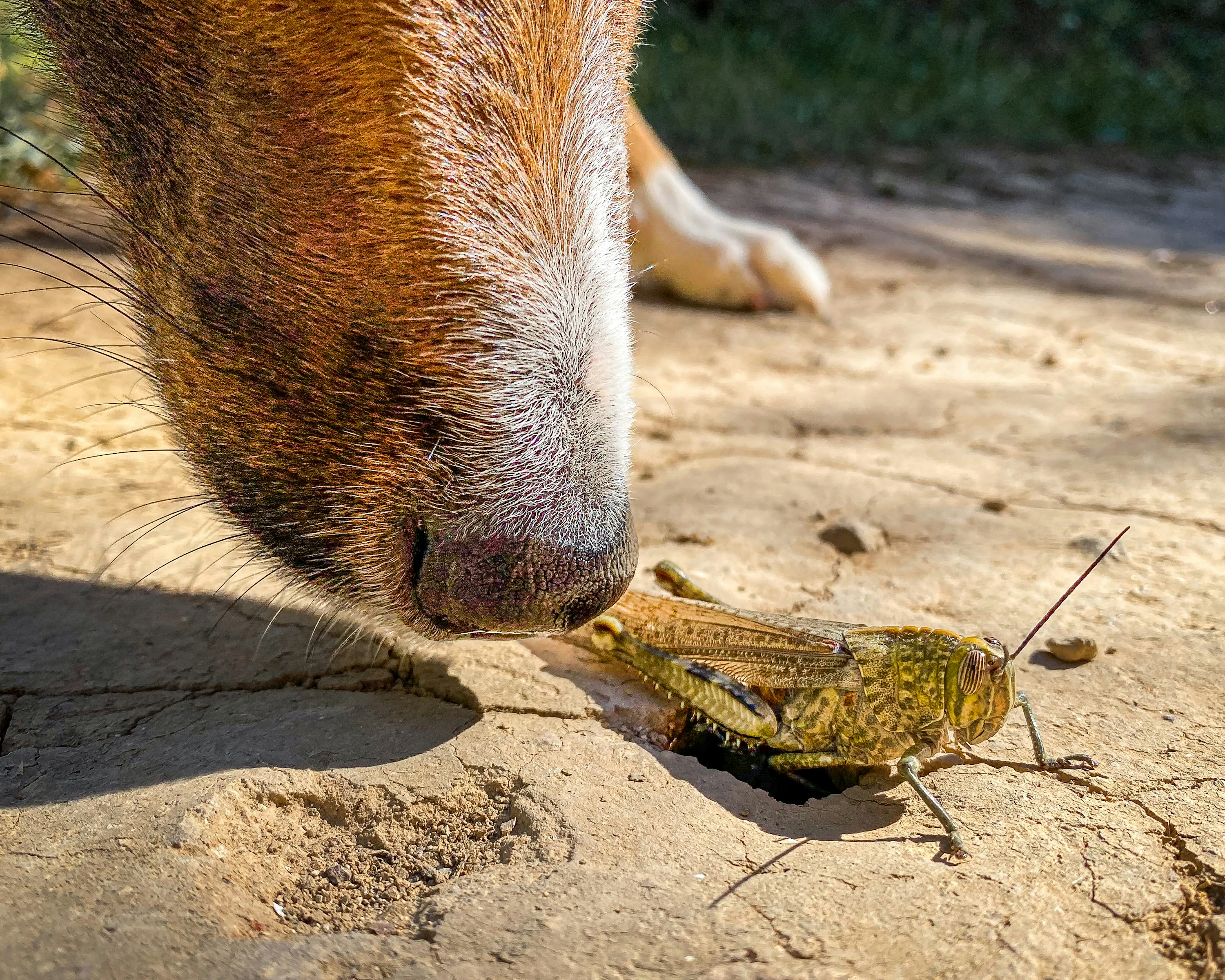 Tavira, Portugal - None