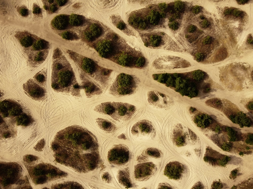 an aerial view of a sandy area with trees