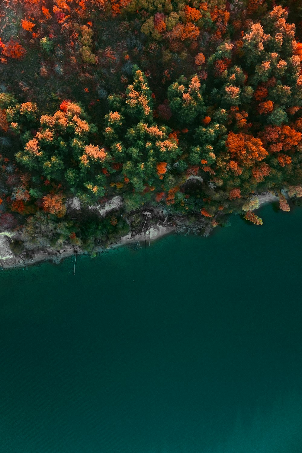 une vue aérienne d’un plan d’eau entouré d’arbres