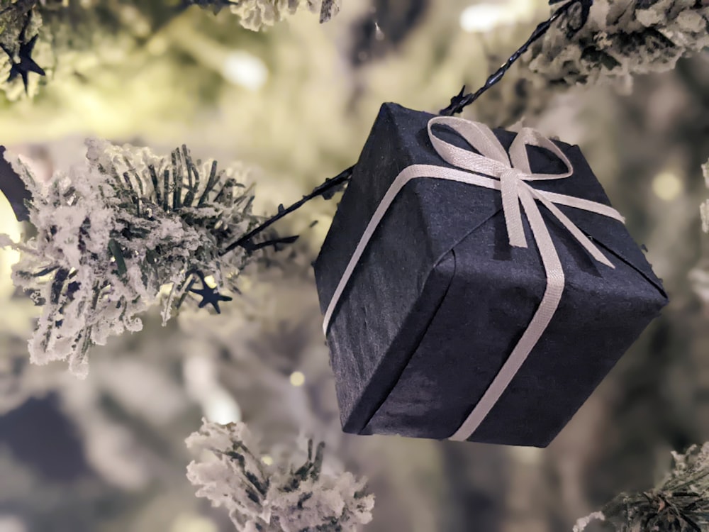 a wrapped present hanging from a tree branch