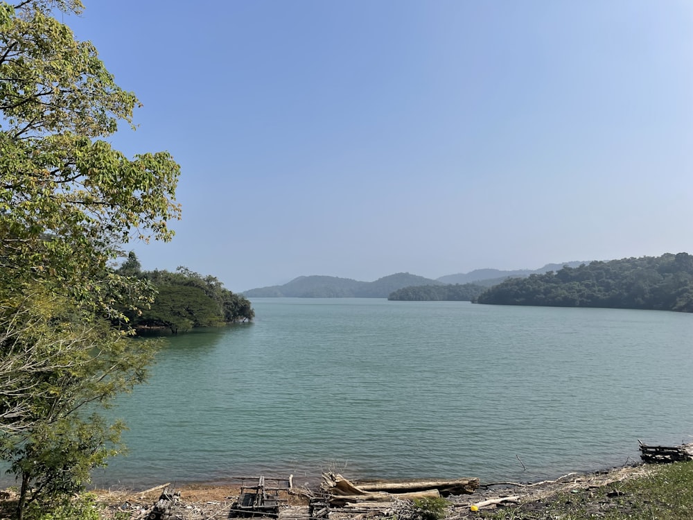 a large body of water surrounded by trees