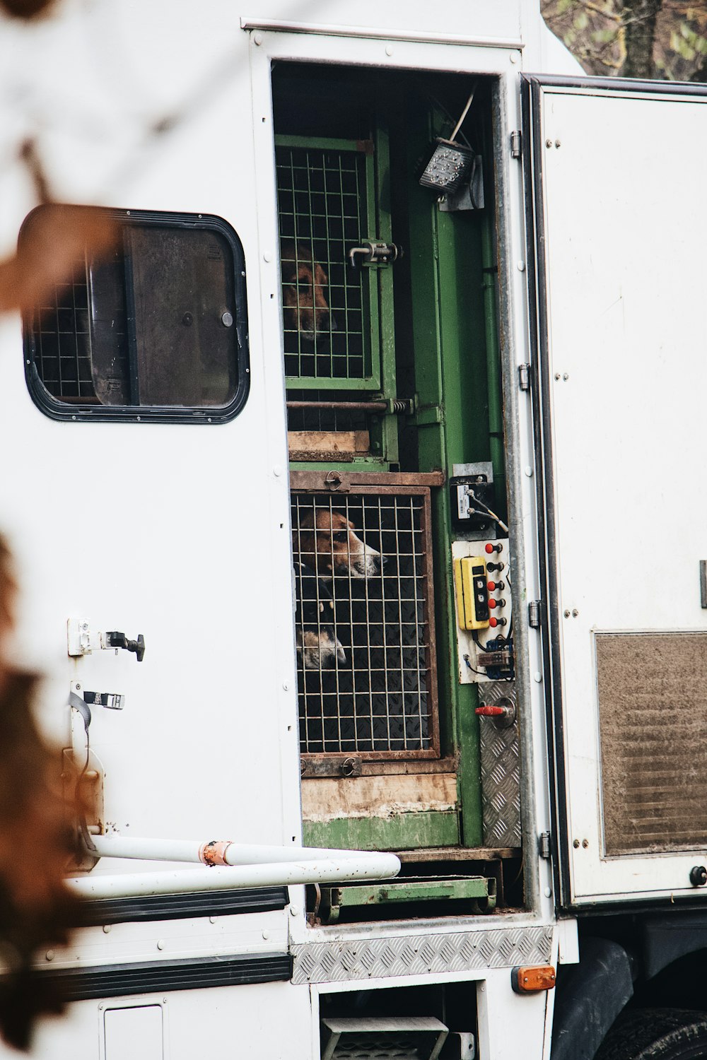 Ein Hund in einem Käfig auf der Ladefläche eines Lastwagens